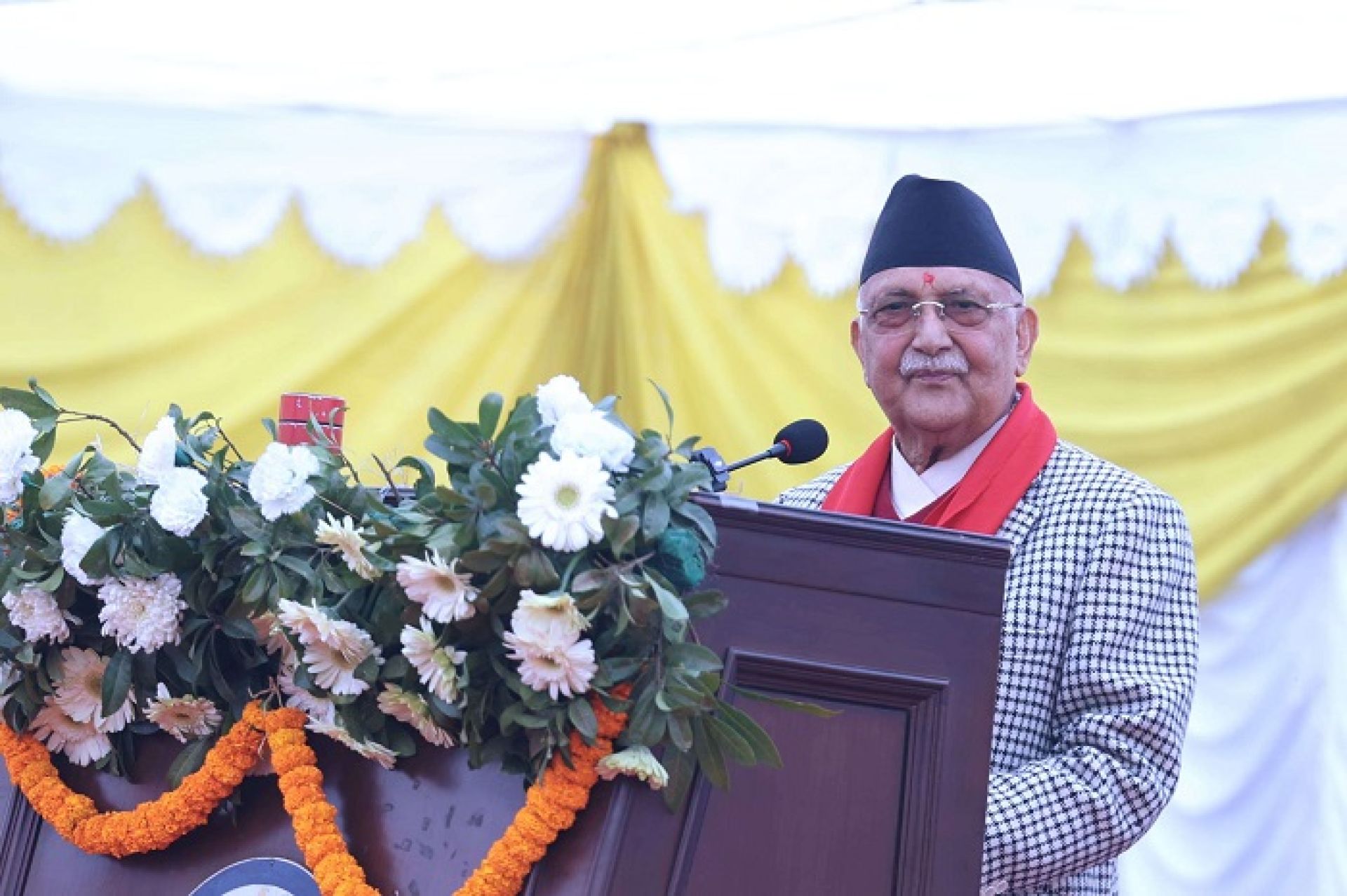औषधि विज्ञानलाई कमाई खाने भाँडो बनाइयो: प्रधानमन्त्री ओली 