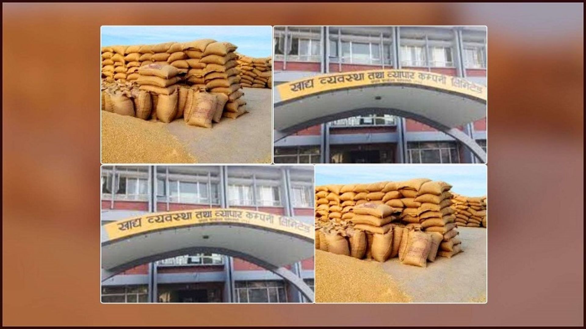 सरकारले यसवर्ष समर्थन मूल्यमा गहुँ खरिद गर्न सकेन