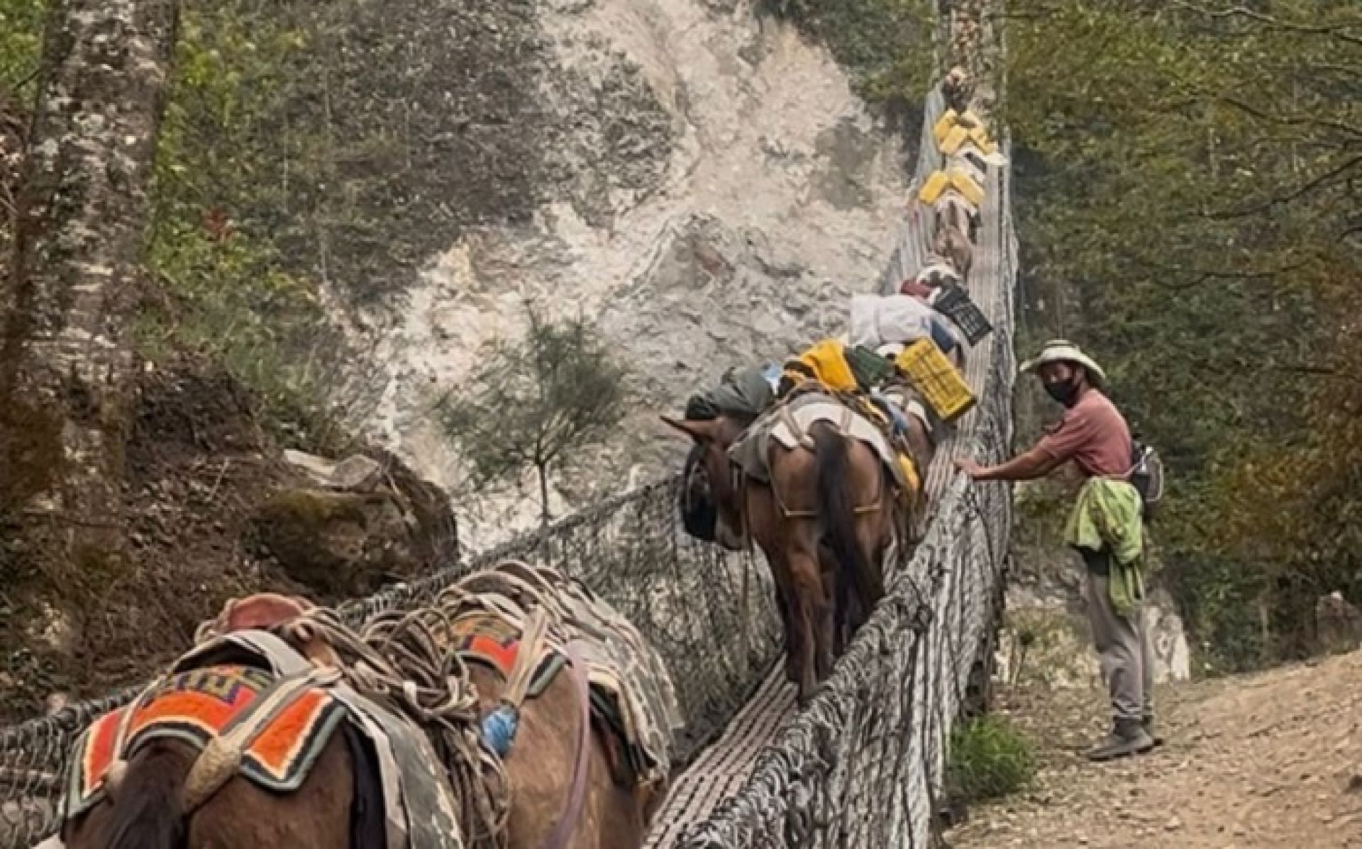 सगरमाथा जाने बाटोमै जोखिमपूर्ण पुल, पर्यटक, भरियादेखि खच्चड सबै मारमा