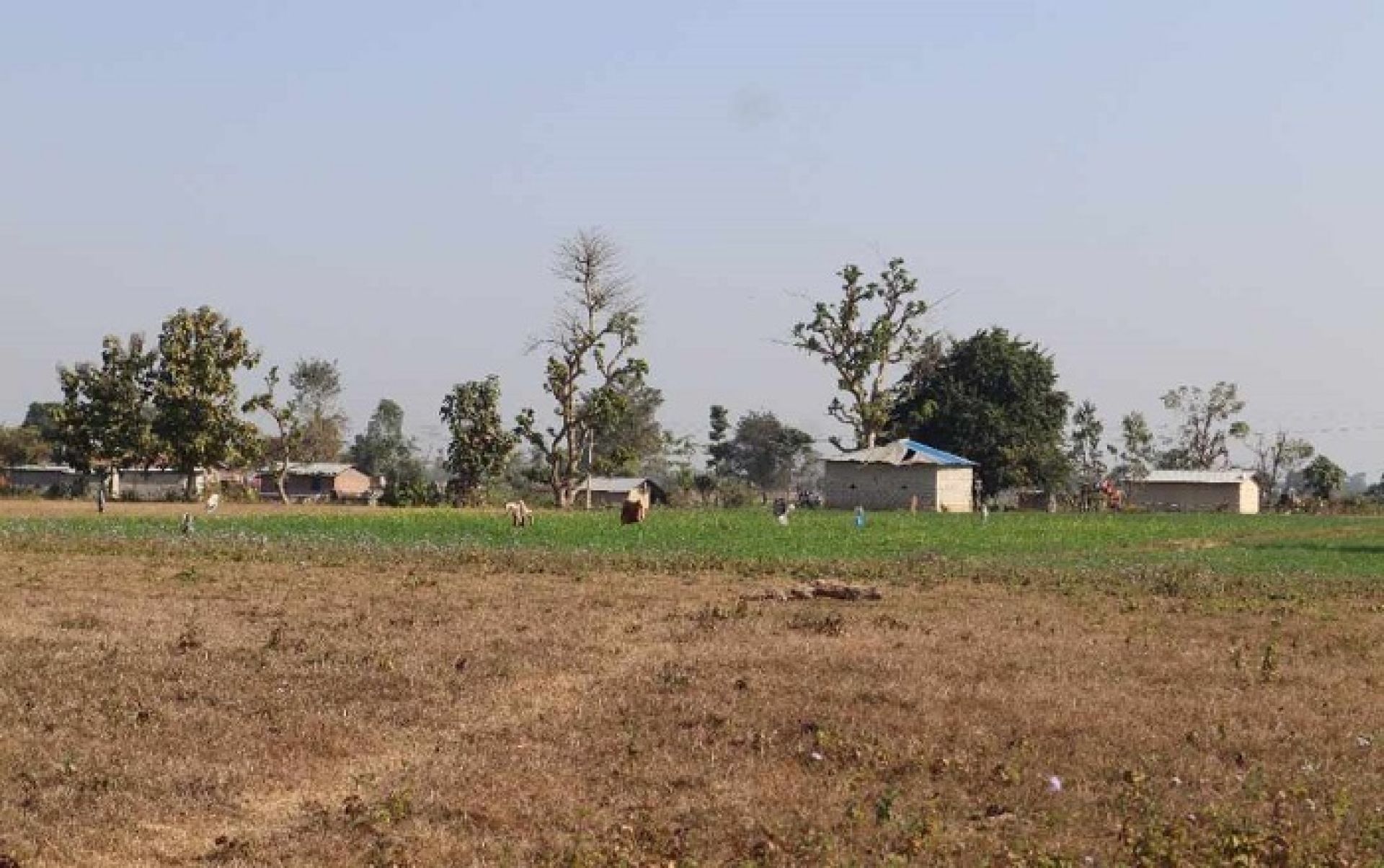 माटोको मायाले सीमामा सङ्घर्ष गर्दै बडुवालवासी