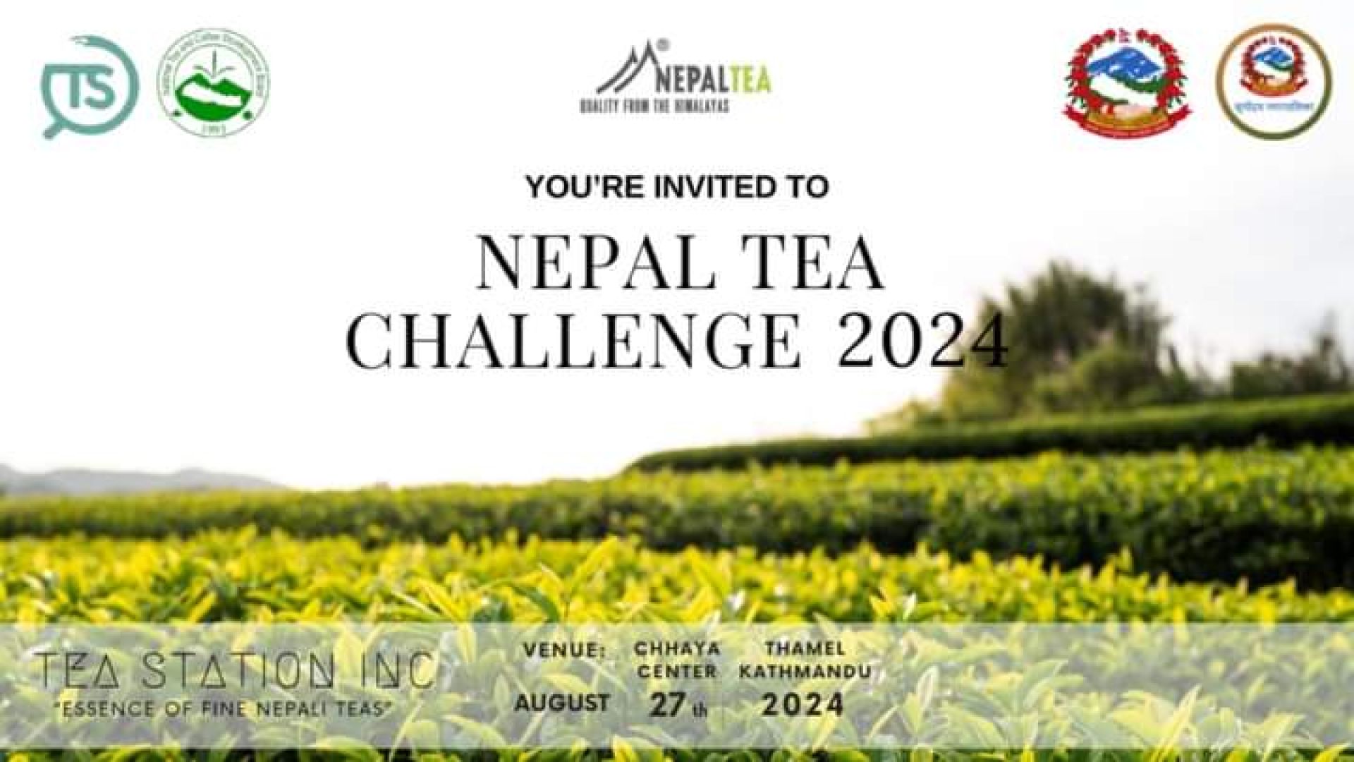 ठमेलको छाया सेन्टरमा ‘नेपाल टी च्यालेञ्ज’ हुँदै, सय किसिमका चिया टेस्ट गर्न पाइने