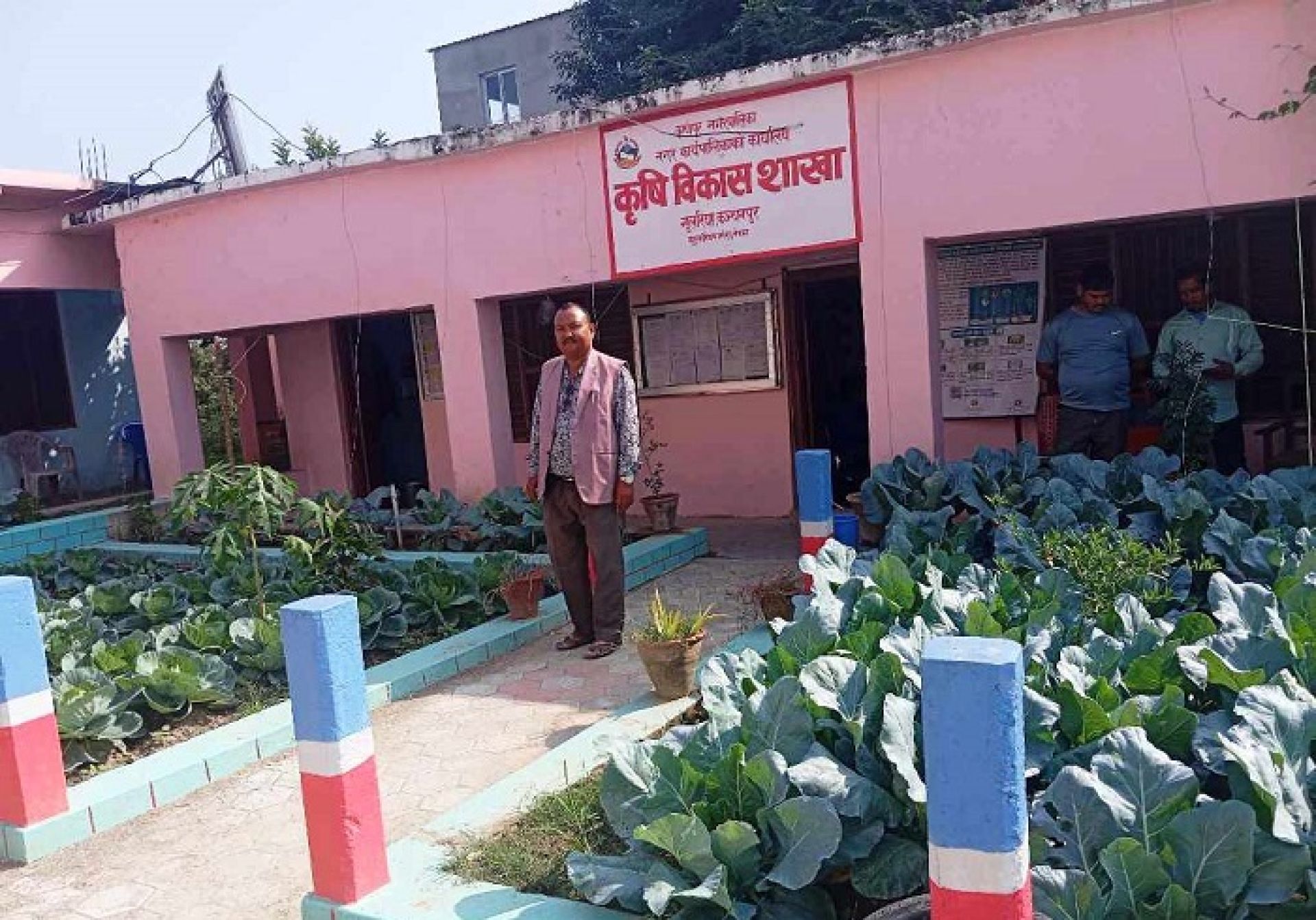 किसानलाई व्यावसायिक तरकारीखेती गर्ने तरिका सिकाउन कार्यालय परिसरमै बारी