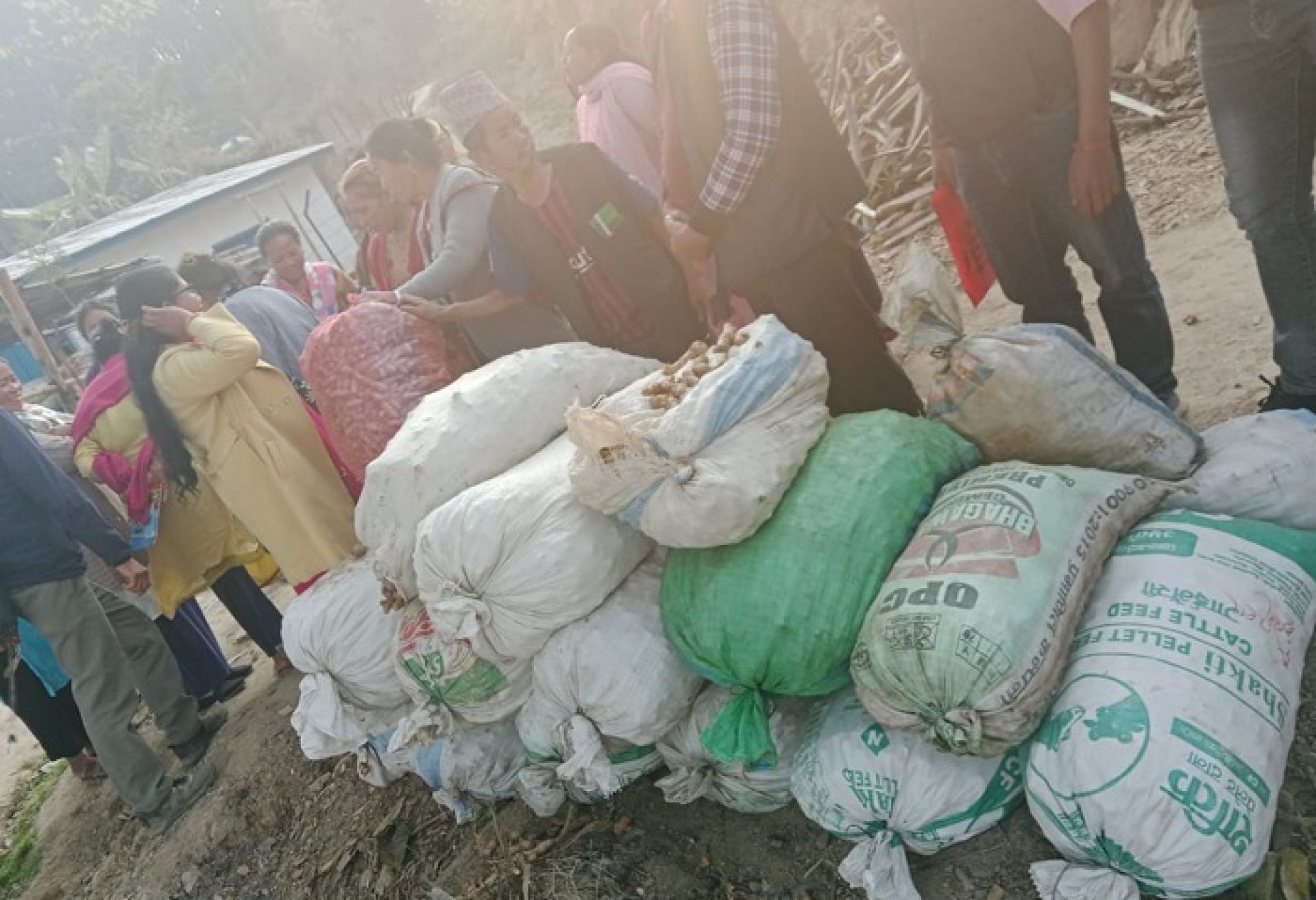 बेसार प्रवर्द्धन गर्दै इलामको माङसेबुङ पालिका, बजारीकरणका लागि सहकारीसँग सम्झौता 