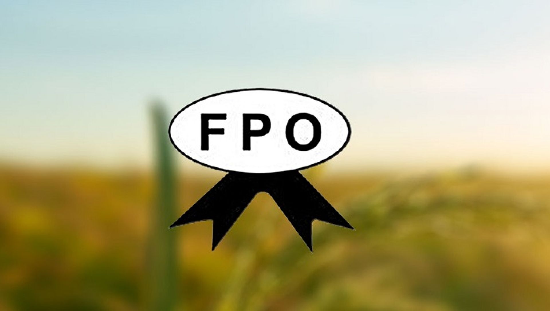 मिर्मिरे लघुवित्तको एफपीओ २५ गतेदेखि बिक्रीमा 