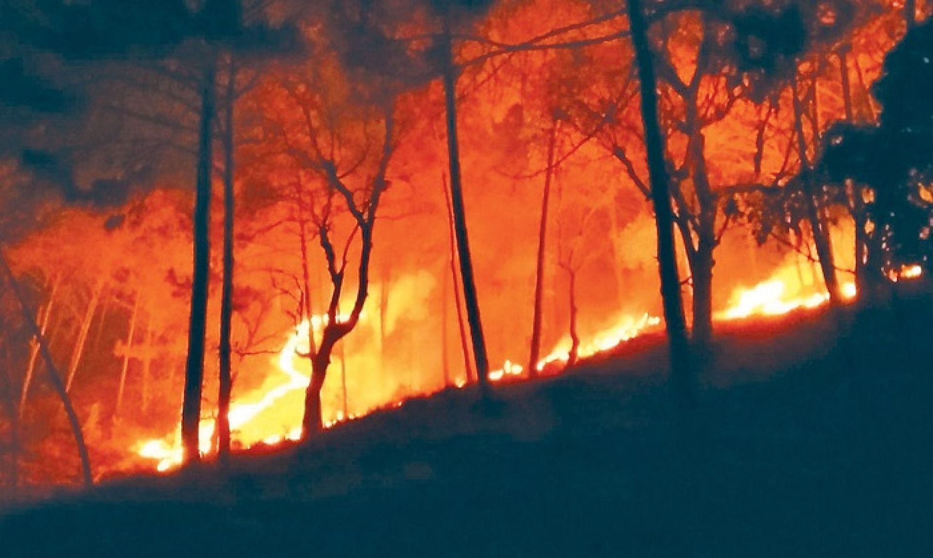 डढेलोले सखाप पार्यो दुना टपरी बेचेर घरखर्च धान्ने ज्ञानुकाको सपना