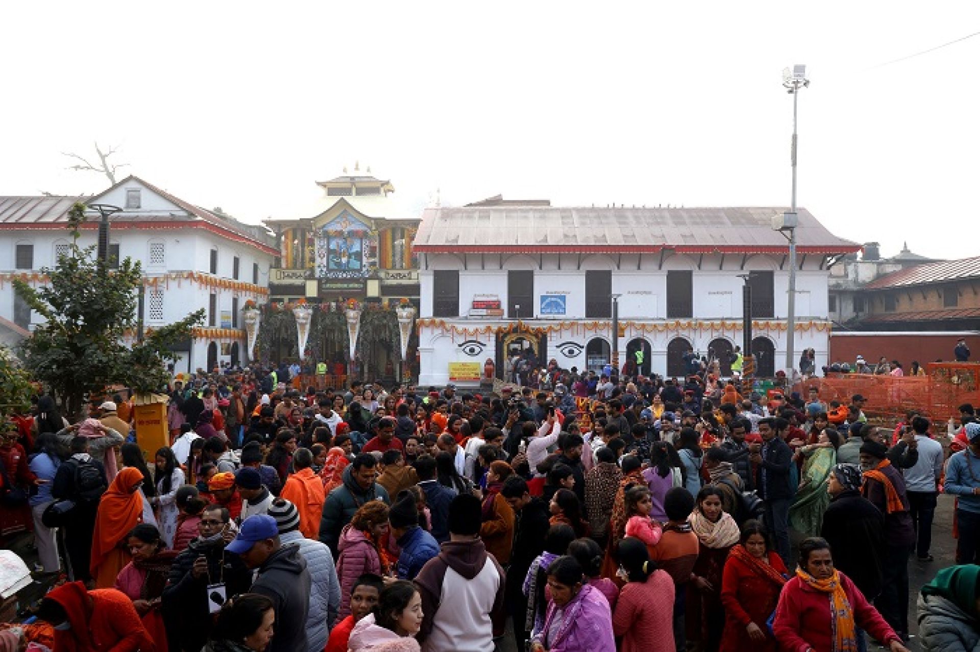 महाशिवरात्रिका दिन आज पशुपति क्षेत्रबाट ७५ जना पक्राउ