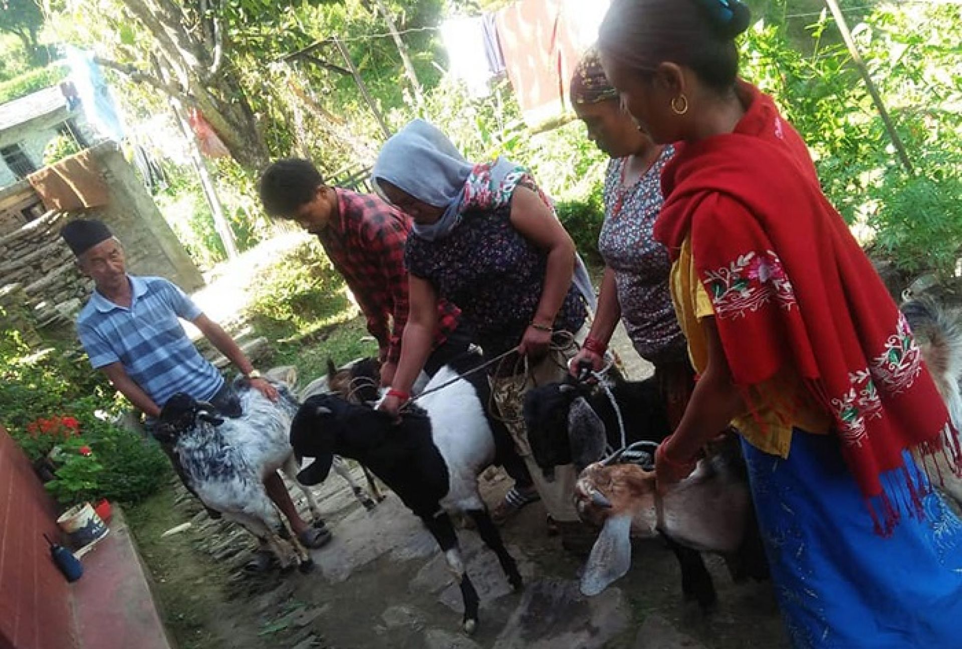 सहकारीमार्फत करोडौँ रकम गाउँ भित्र्याउँदै महिला