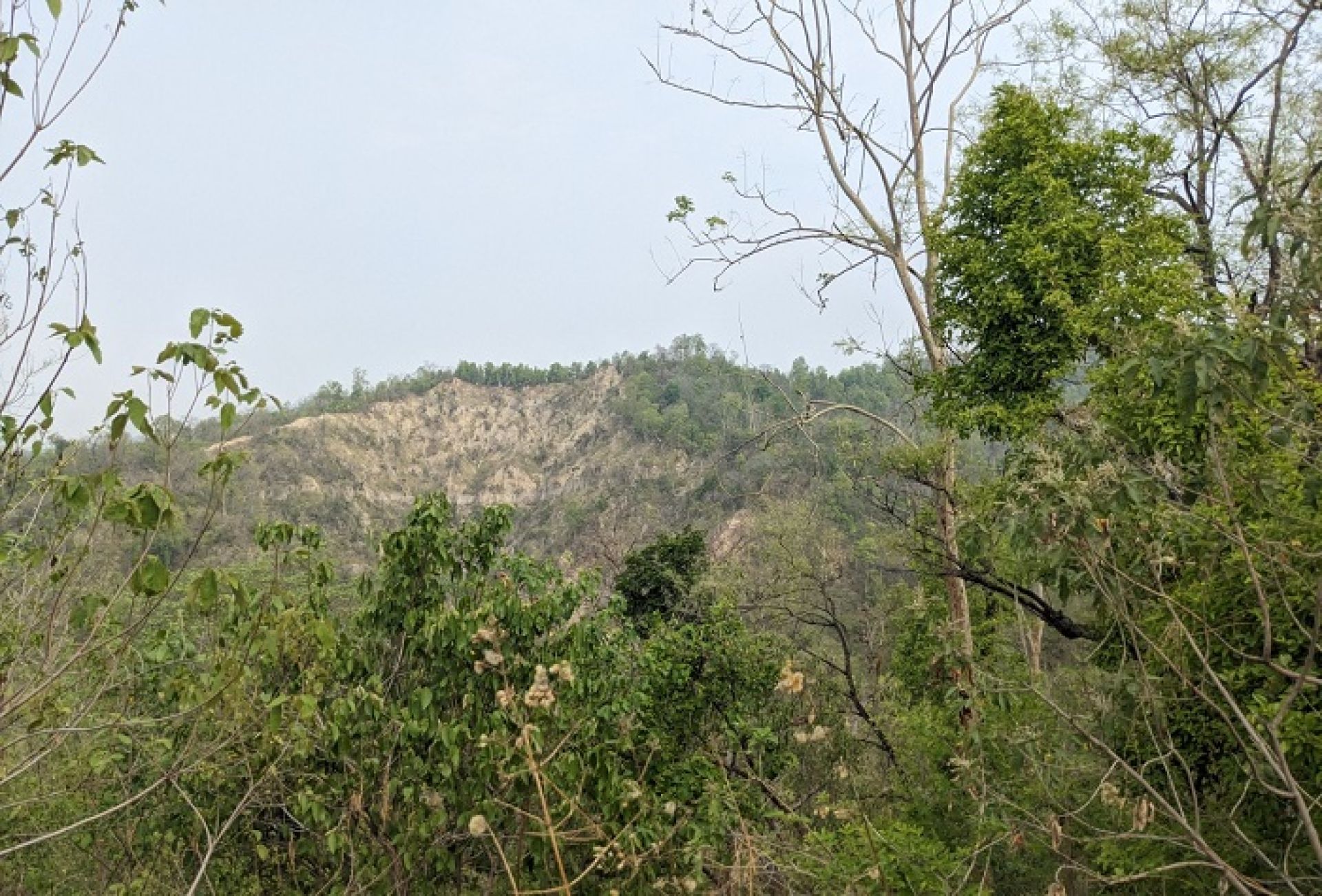 स्वदेशी र विदेशी पर्यटकको आकर्षक गन्तव्य बन्दै चनौटेडाँडा
