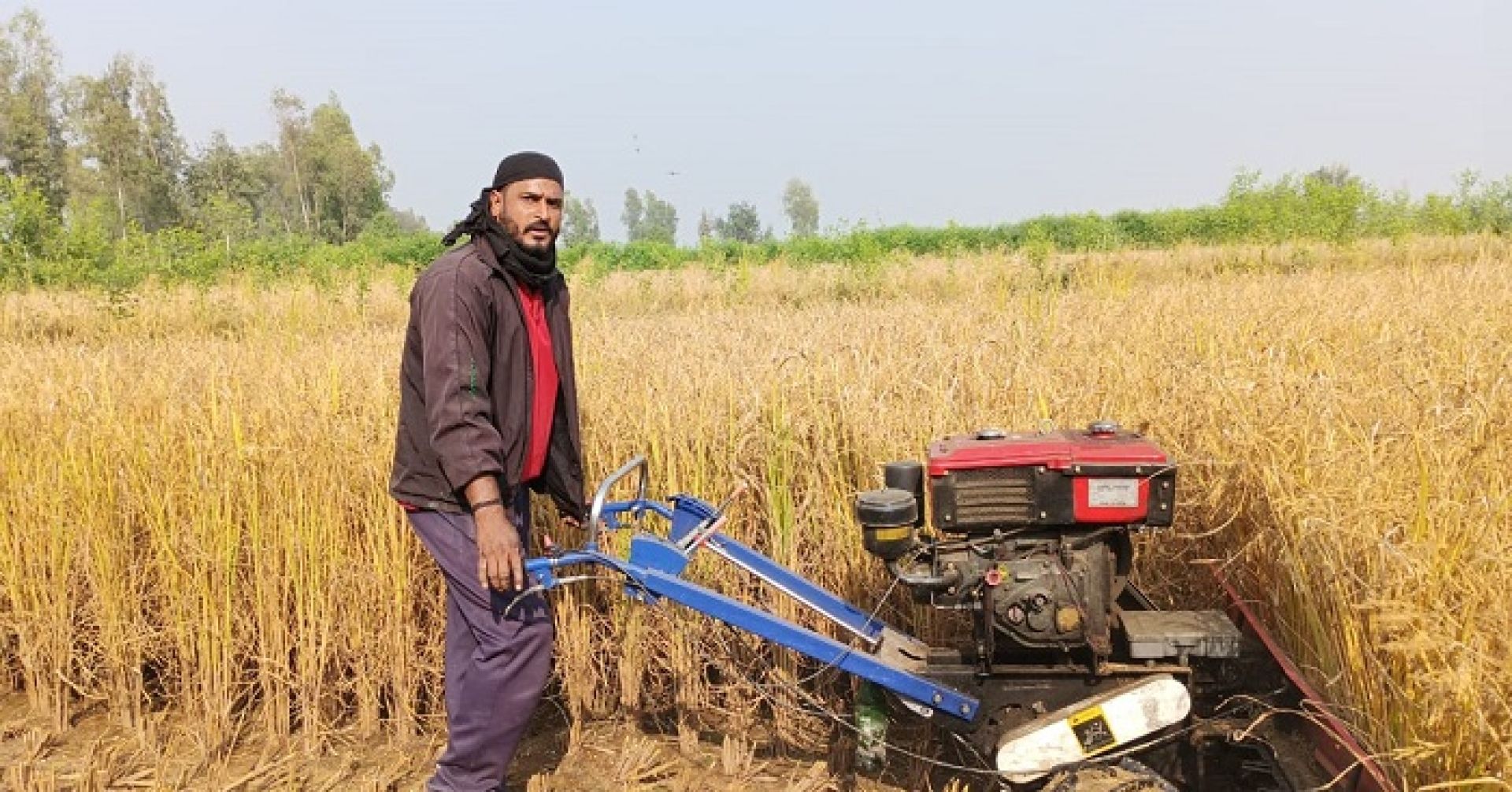 धान काट्न मजदुरको सट्टा रिपर मेसिन ! 