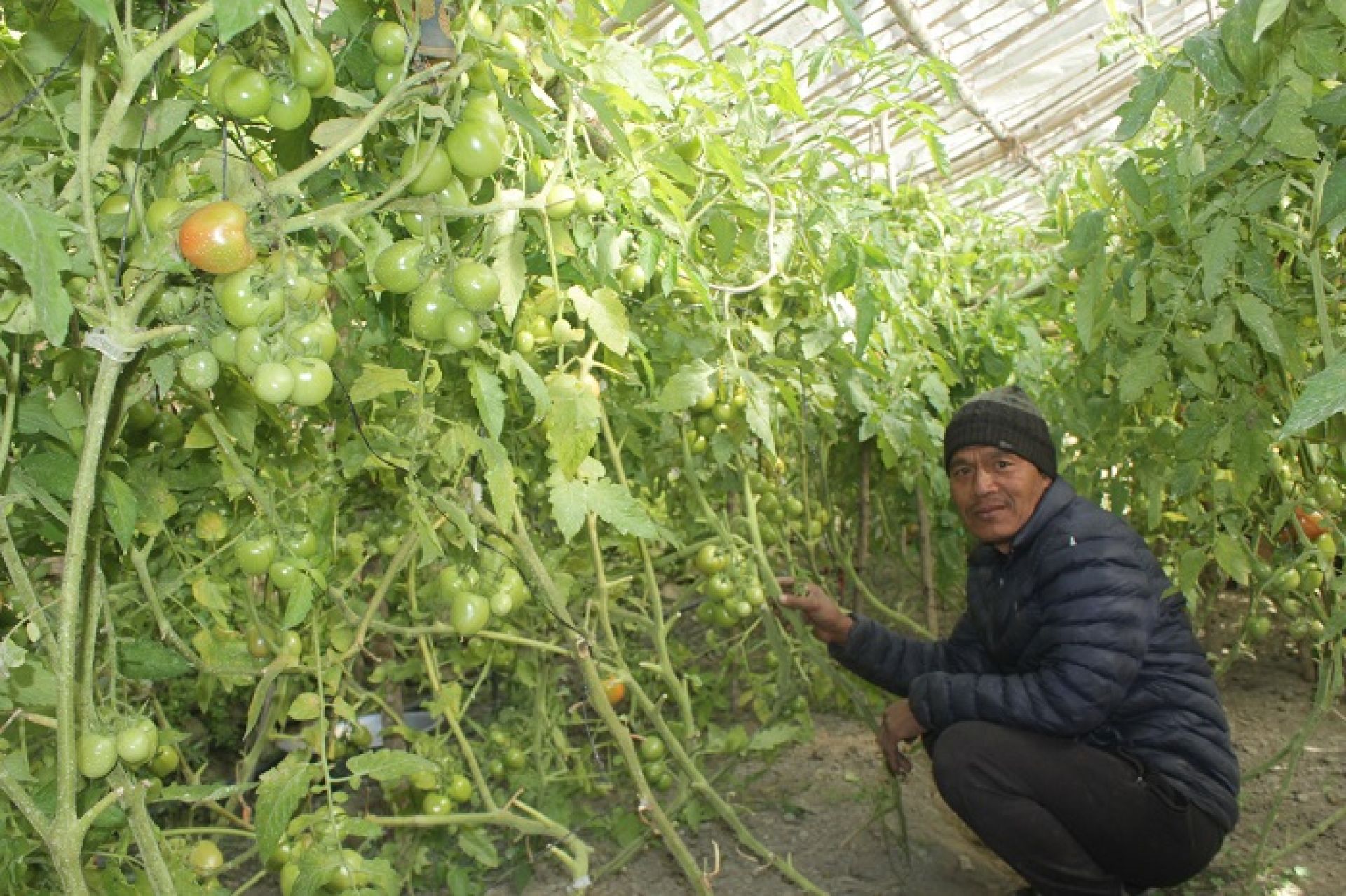 मराङबेँसीमा कृषिबाट आत्मनिर्भर बन्ने अभियान, व्यावसायिक रूपमा तरकारीखेती 