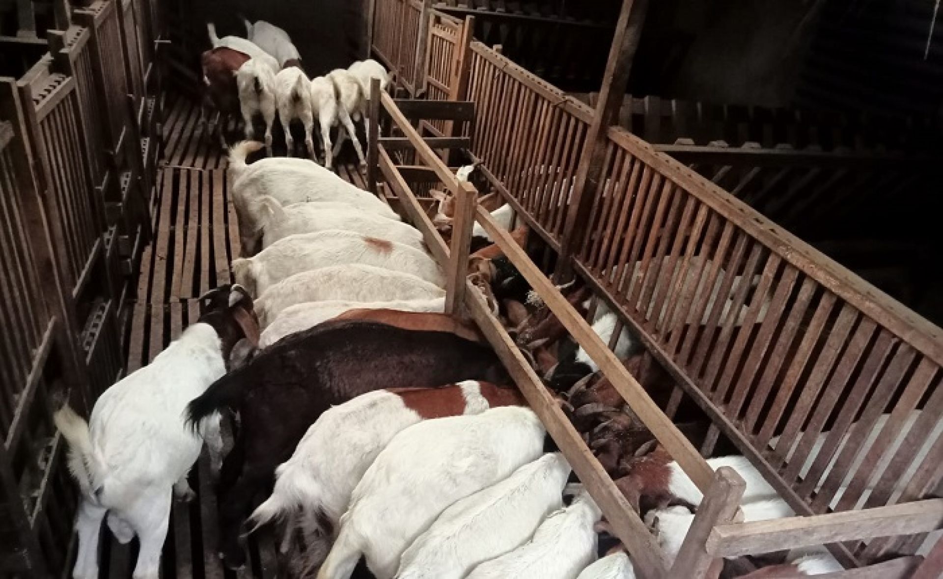 कृषि कर्मबाट मासिक डेढ लाख आम्दानी