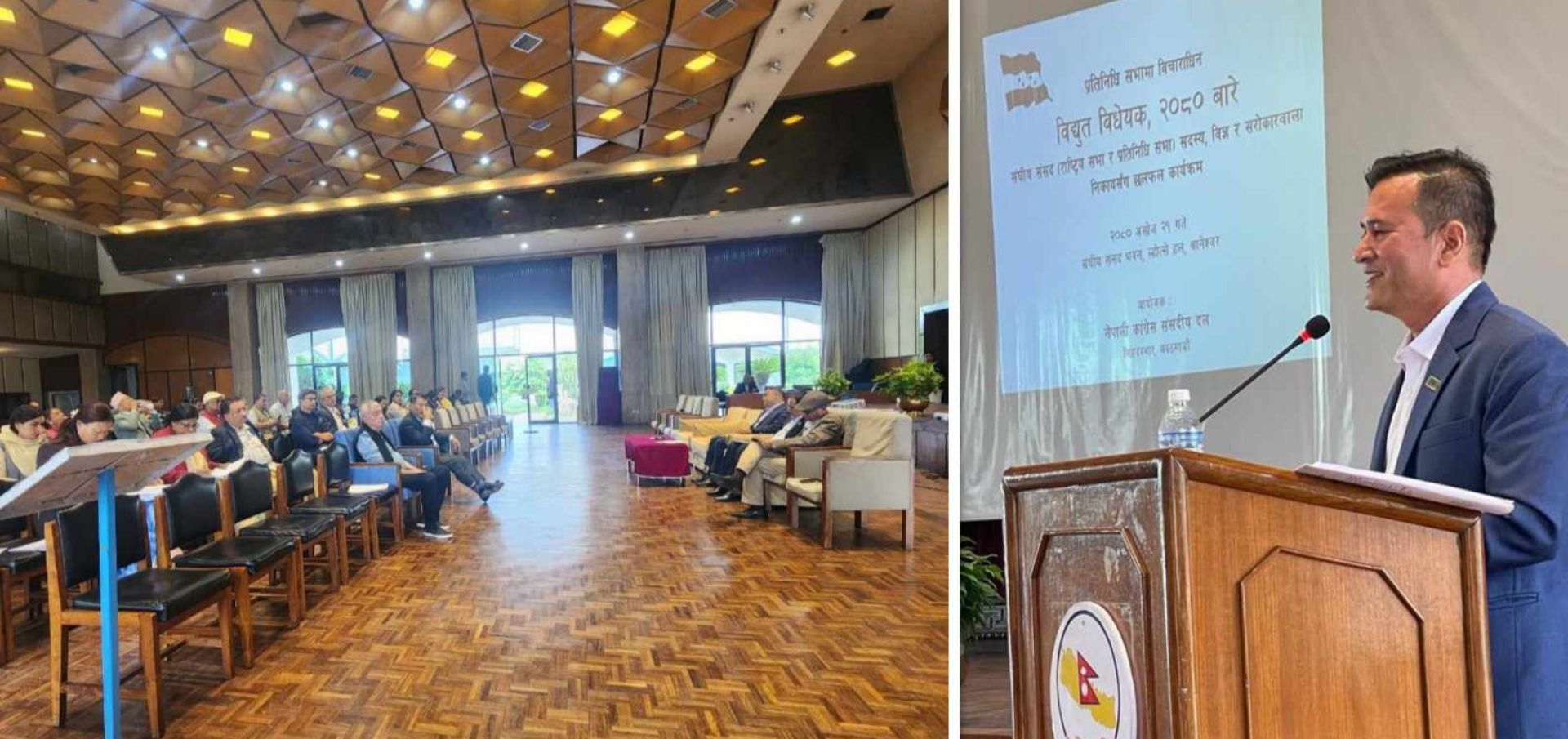 विद्युत विधेयक जस्ताको त्यस्तै आयो भने निजी क्षेत्र कोमामा जान्छ: इप्पान अध्यक्ष कार्की