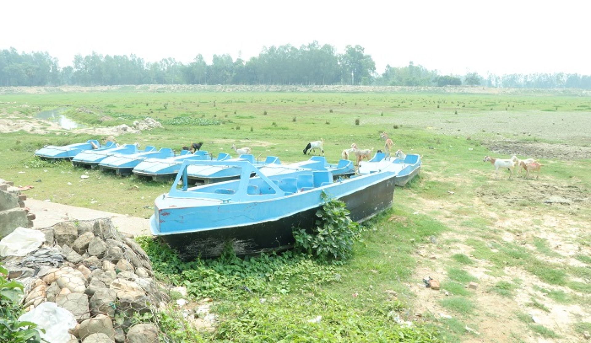 पर्यटकीय नाढिमन ताल बन्यो गौचरन, तालसँगै सुक्यो चन्द्रनगर