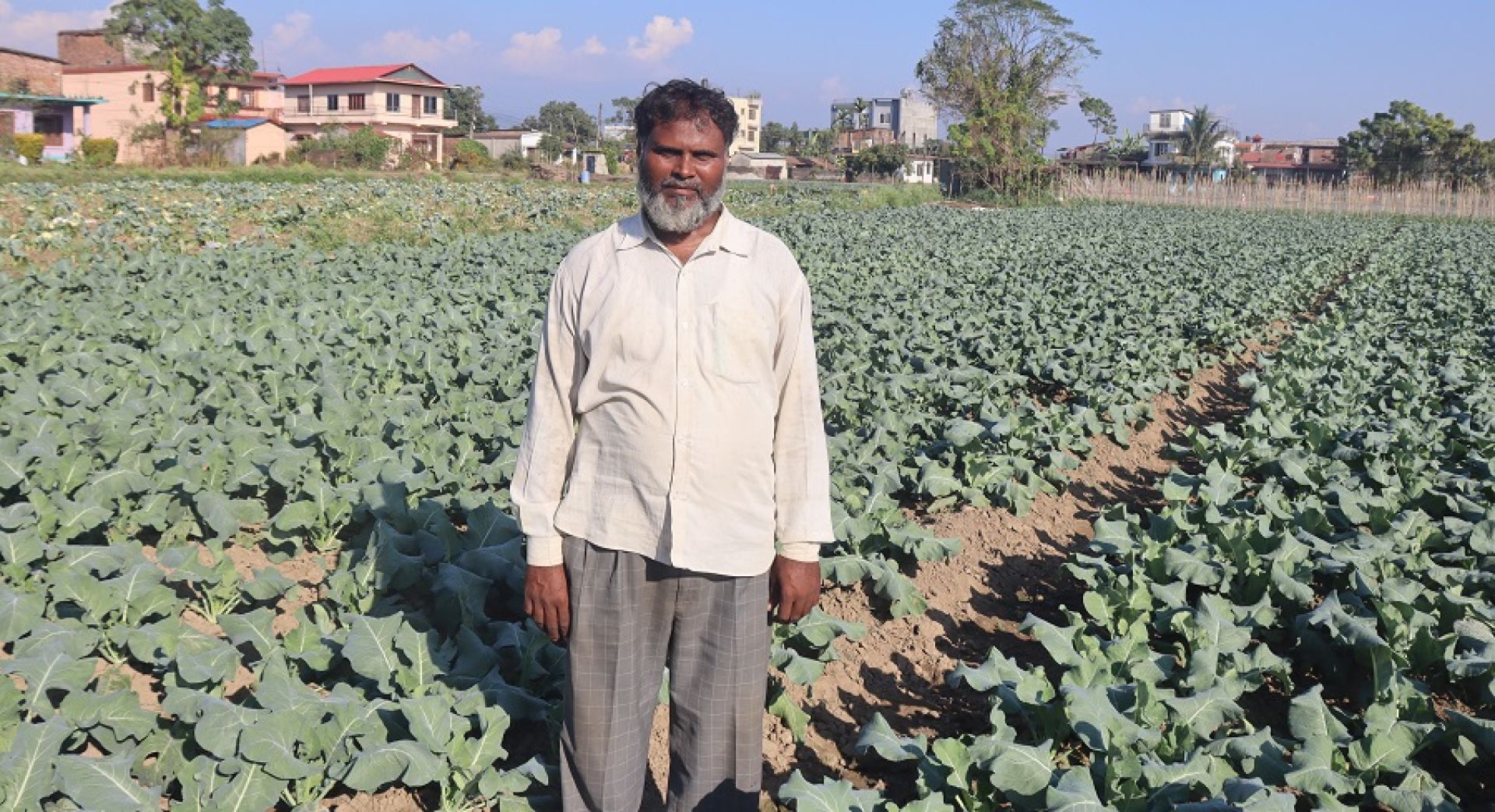तरकारीले बजार नपाउँदा किसान चिन्तित, घर खर्च टार्नै सकस 
