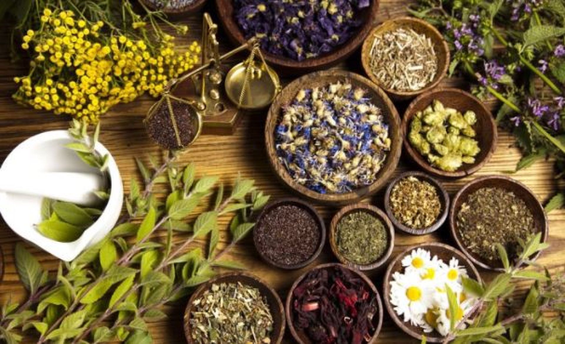 एक वर्षमा कर्णालीबाट ३२ सय क्विन्टल जडीबुटी निर्यात, करिब ३ अर्ब राजस्व संकलन