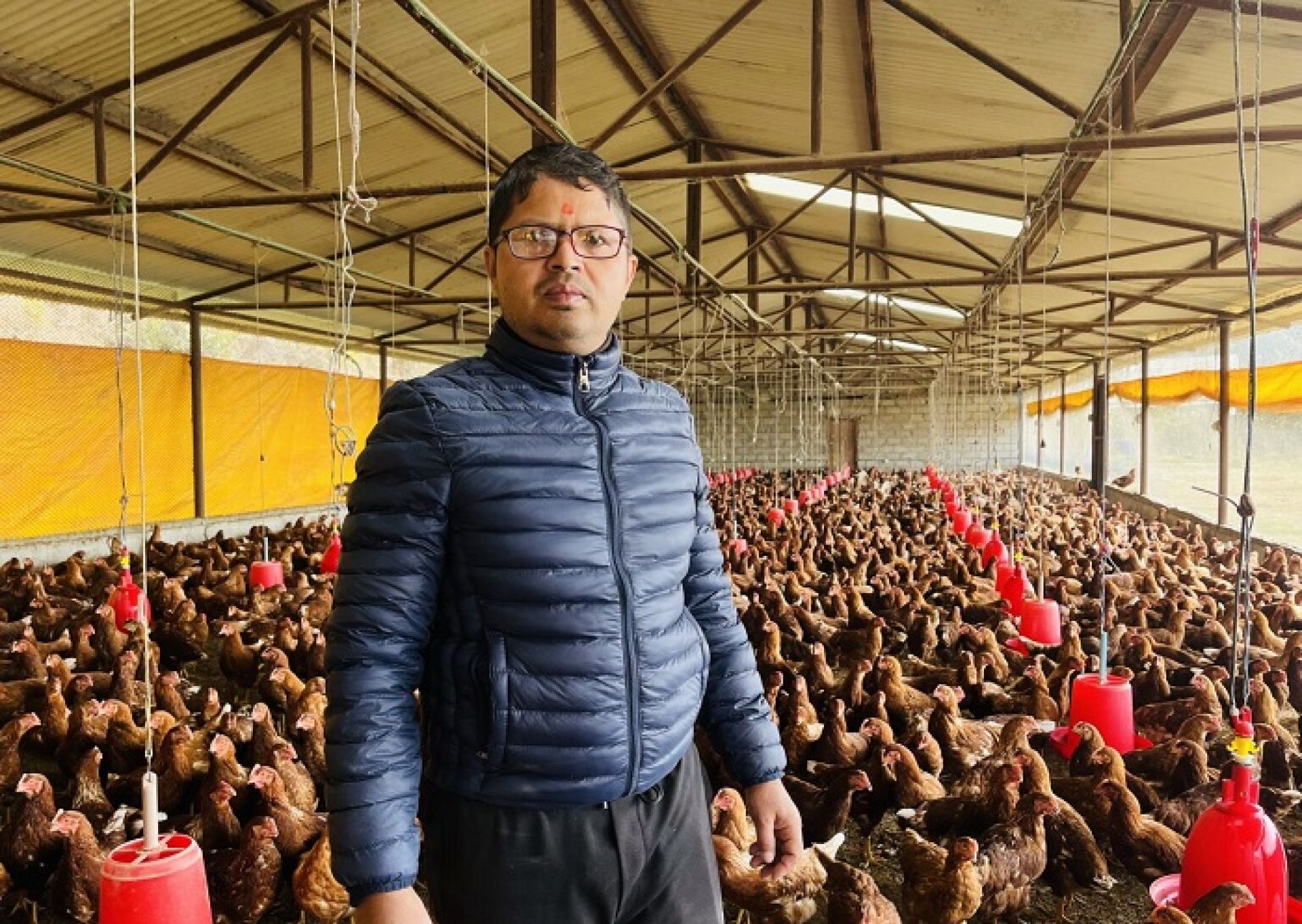 कुखुरा पालेर मासिक एक लाख पचास हजार बचत गर्छन् बागलुङका शर्मा​​​​​​​ 