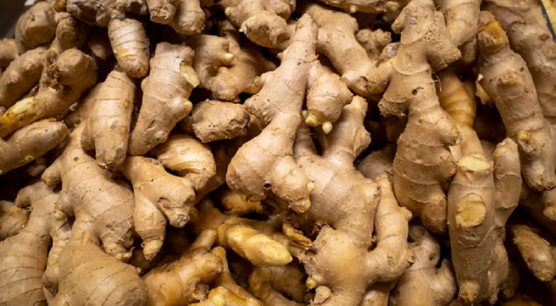 रुकुमपश्चिमबाट नौ करोडको अदुवा बिक्री