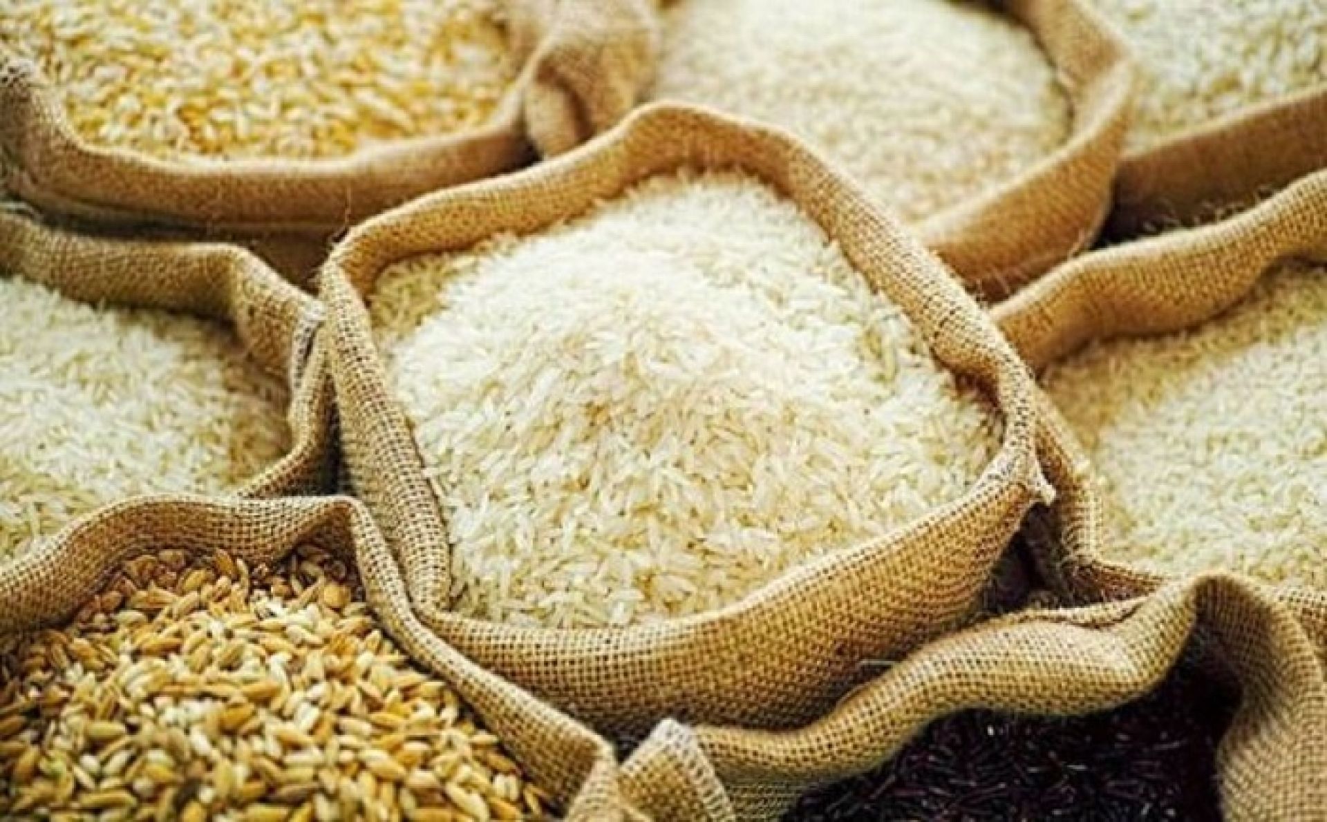 एक वर्षमा न्यू वैदेही खाद्य उद्योगले गर्यो डेढ अर्बको व्यापार, नाफा मार्जिनमा भने गिरावट 