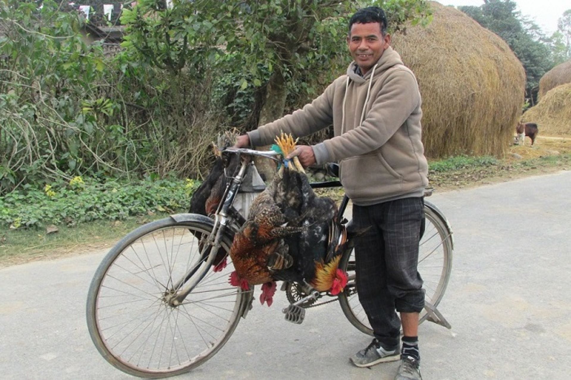 छत्तीस वर्षदेखि कुखुराको व्यापारमा तल्लिन छविलाल