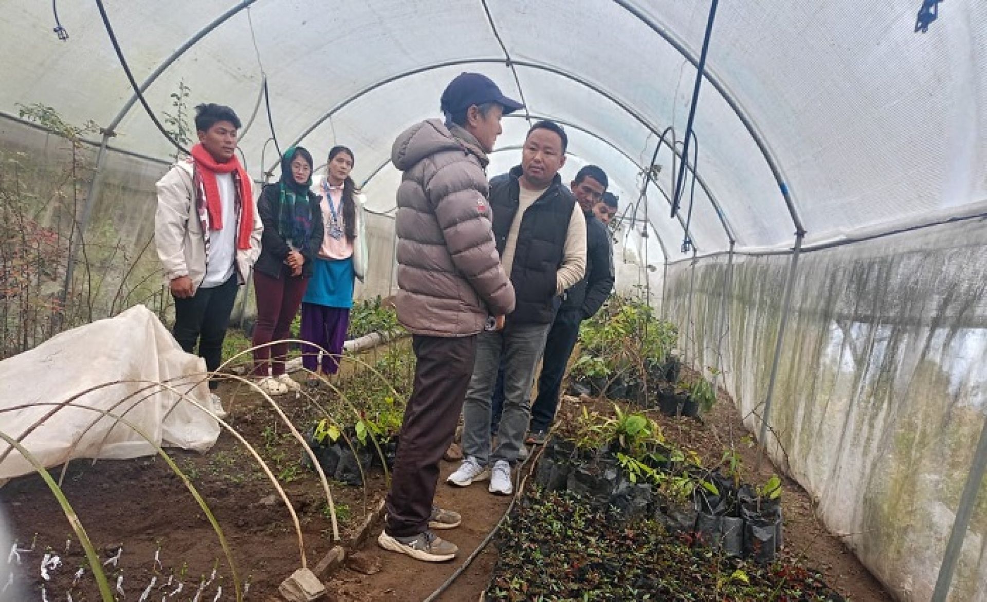 थुलुङ दूधकोशीमा कफीको न्यूनतम समर्थन मूल्य निर्धारण