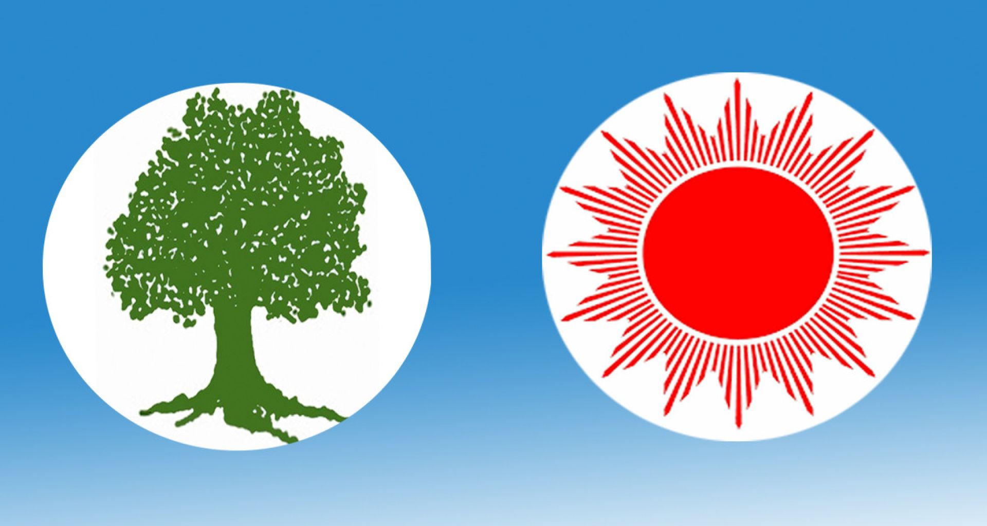 प्रभावशाली नेतादेखि नेताका श्रीमतीसम्म समानुपातिक सांसद