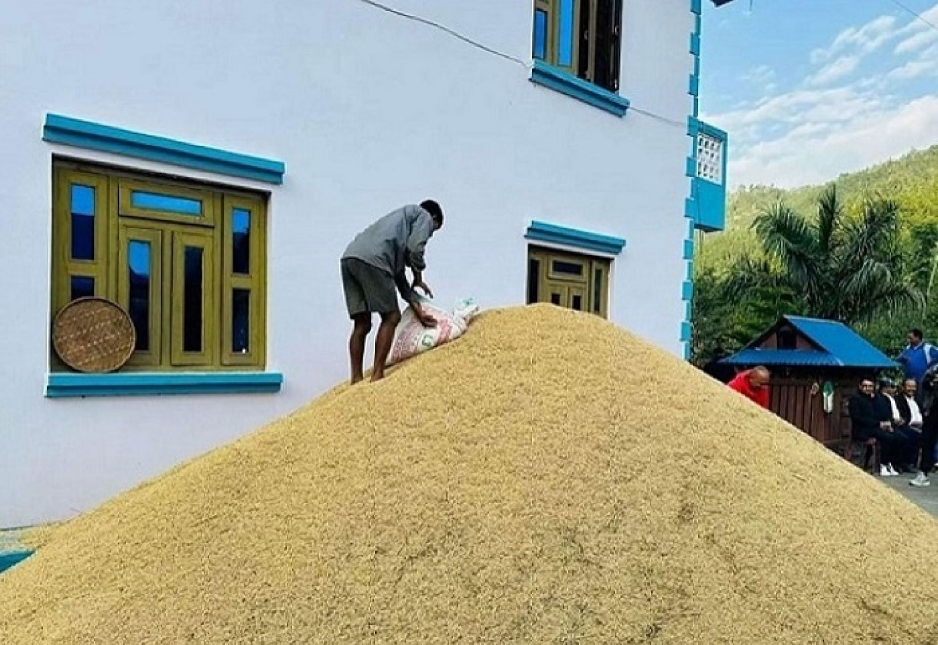 बारामा यसवर्ष ९१ हजार ८०० मेट्रिक टन चैते धान उत्पादन