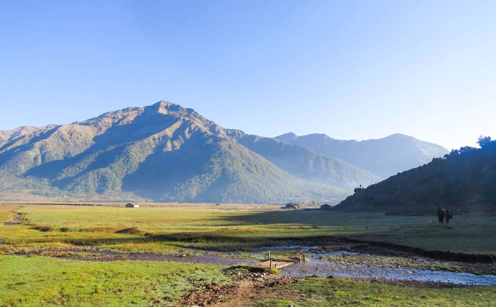 पर्यटकको रोजाइमा पर्न थाल्यो ढोरपाटन