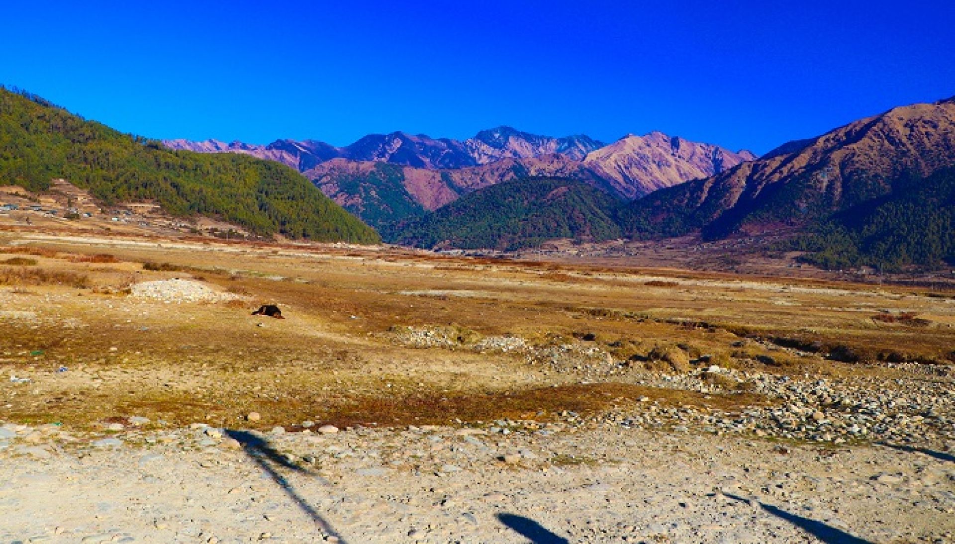 चिसोले सुनसान ढोरपाटन, होटल व्यवसाय ठप्प