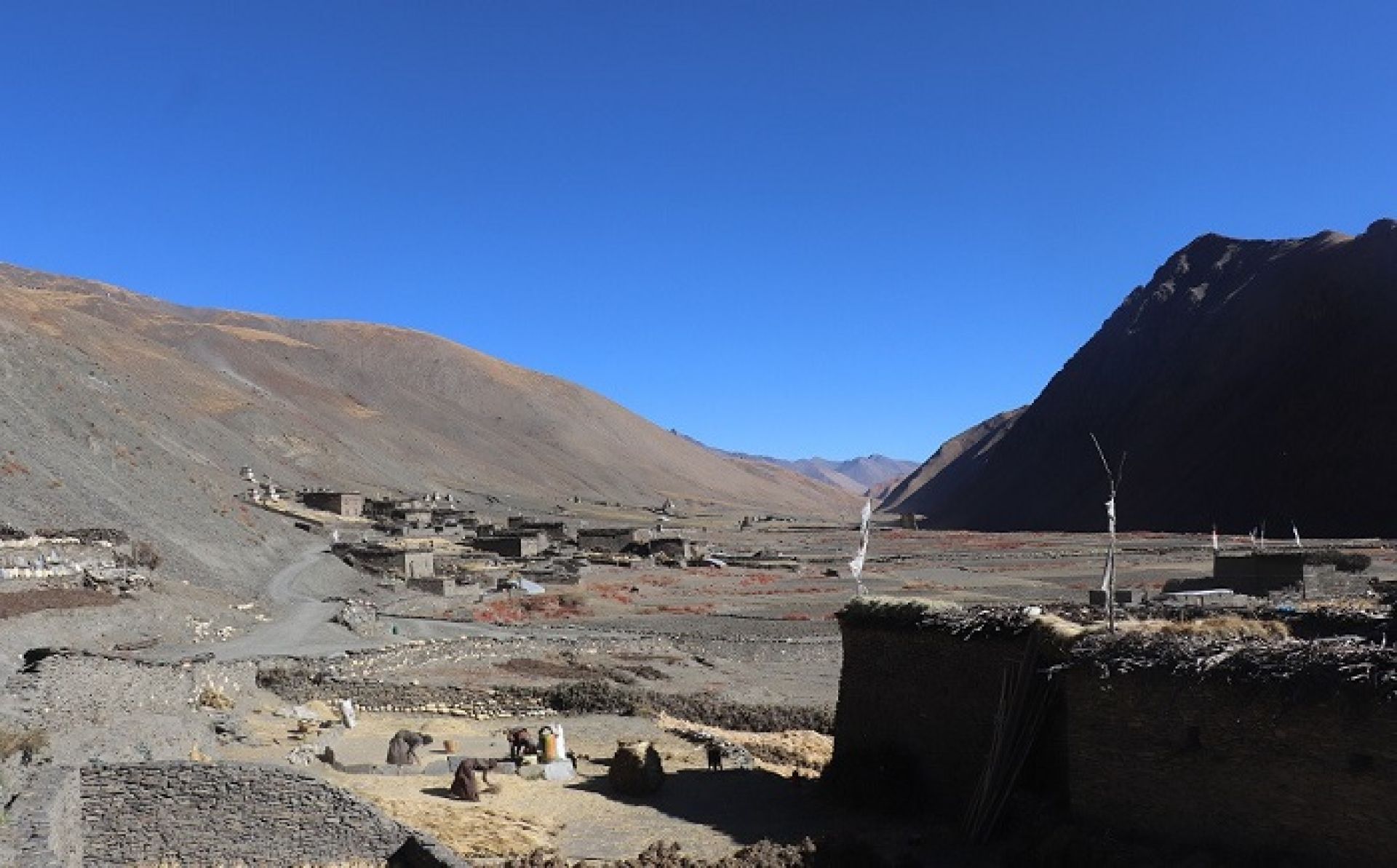 Morimla border checkpoint in Upper Dolpa to remain open for 20 days