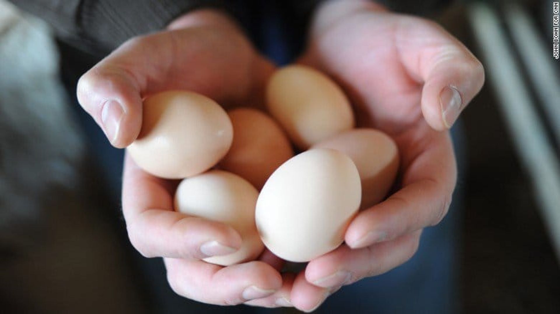 अण्डाको मूल्य फेरि बढ्योः प्रतिक्रेट ४६५ पुग्दा पनि किसानको लागत उठेन