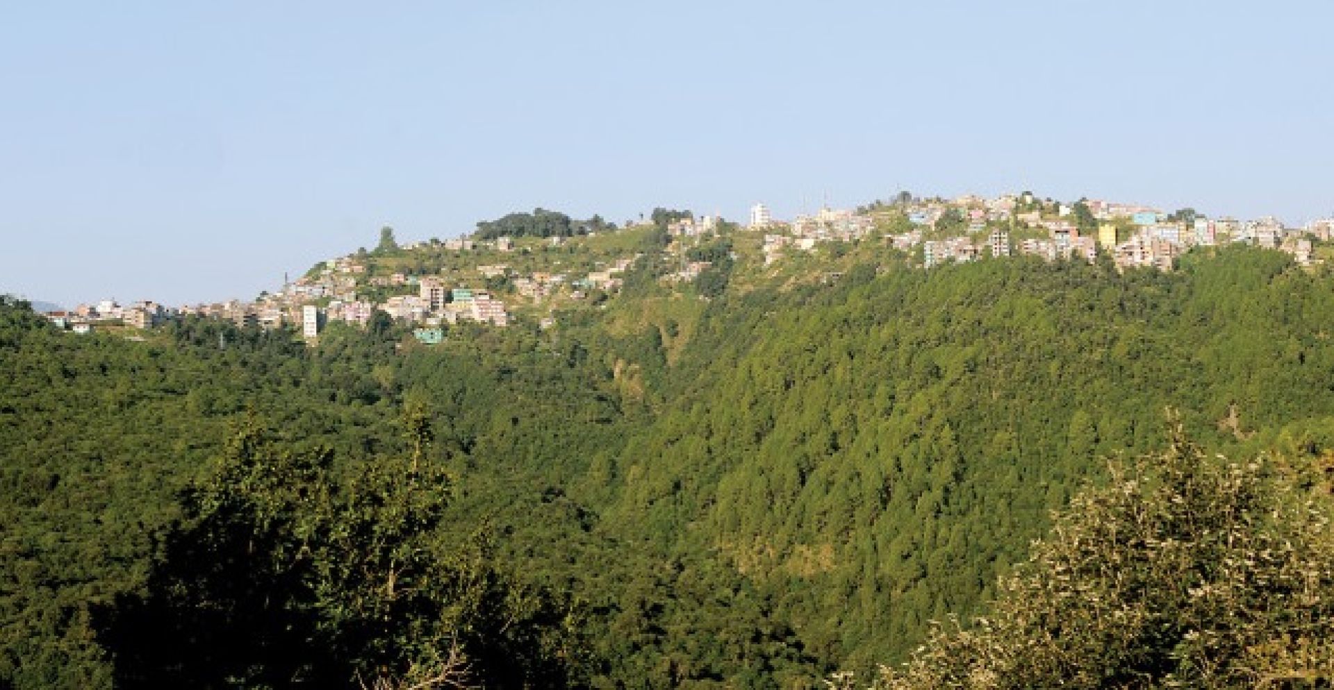 वनको घनत्वसम्बन्धी ११ सूचकमध्ये छ को प्रगति न्यून, चारको शून्य