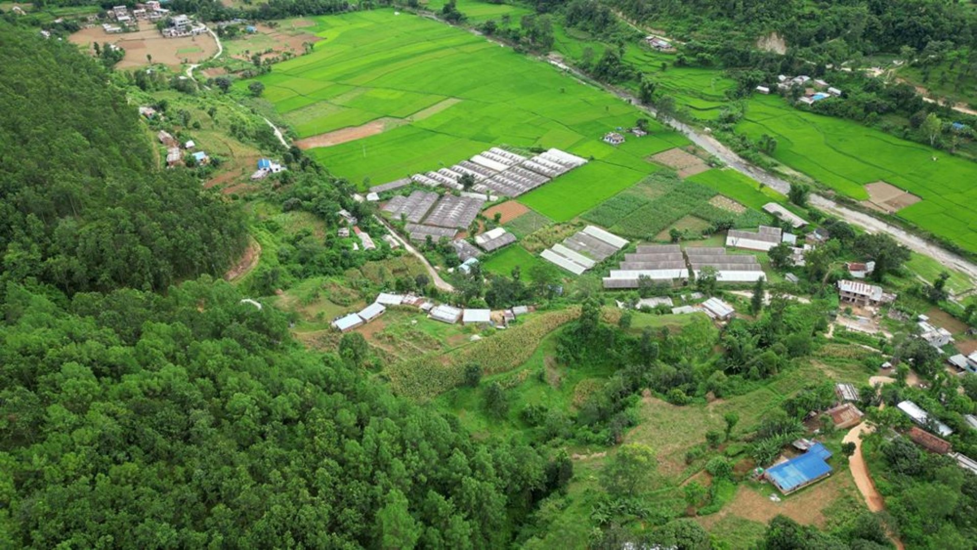 गर्न सके देशभित्रै सबथोक छ !