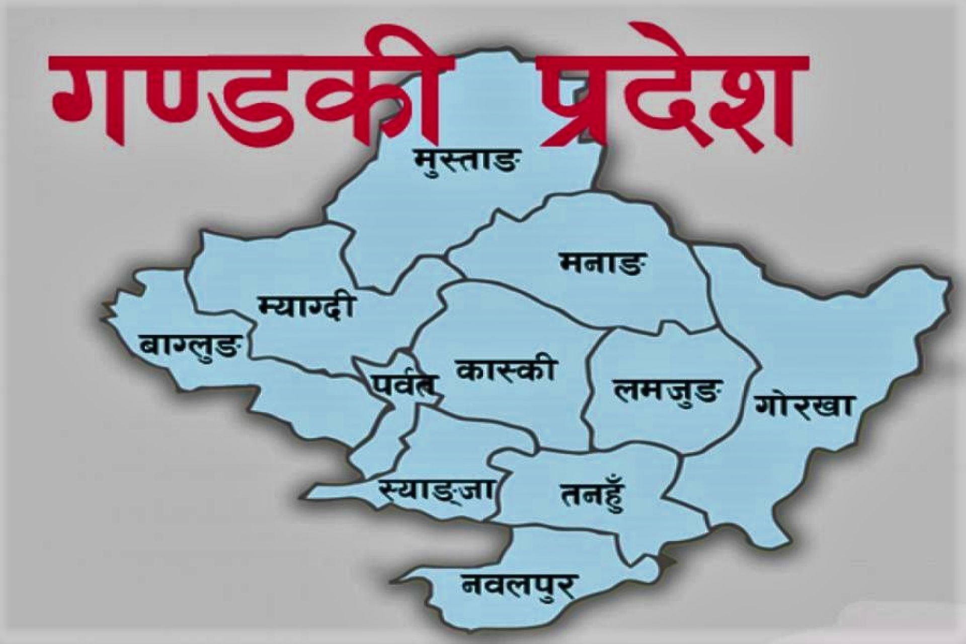 क्यान्सर र ब्रेनट्युमरका ७० रोगीलाई गण्डकी सरकारले आर्थिक सहयोग गर्ने 
