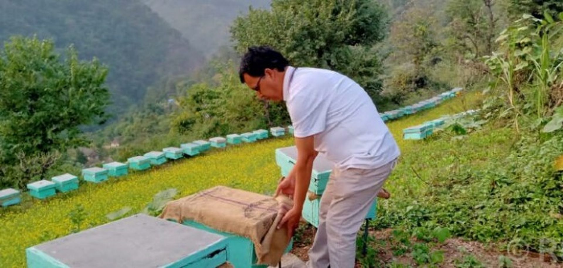 मौरी पालेर वार्षिक आठ लाख कमाउँदै केसी