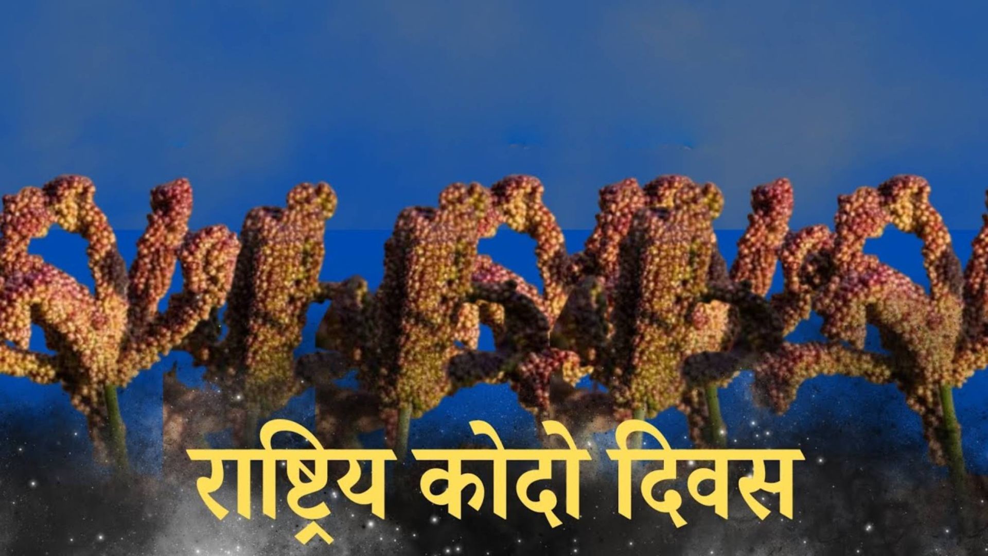 राष्ट्रिय कोदो दिवस आज: कोदो खेतीमा अग्रसर हुन कृषि मन्त्री अधिकारीको आग्रह