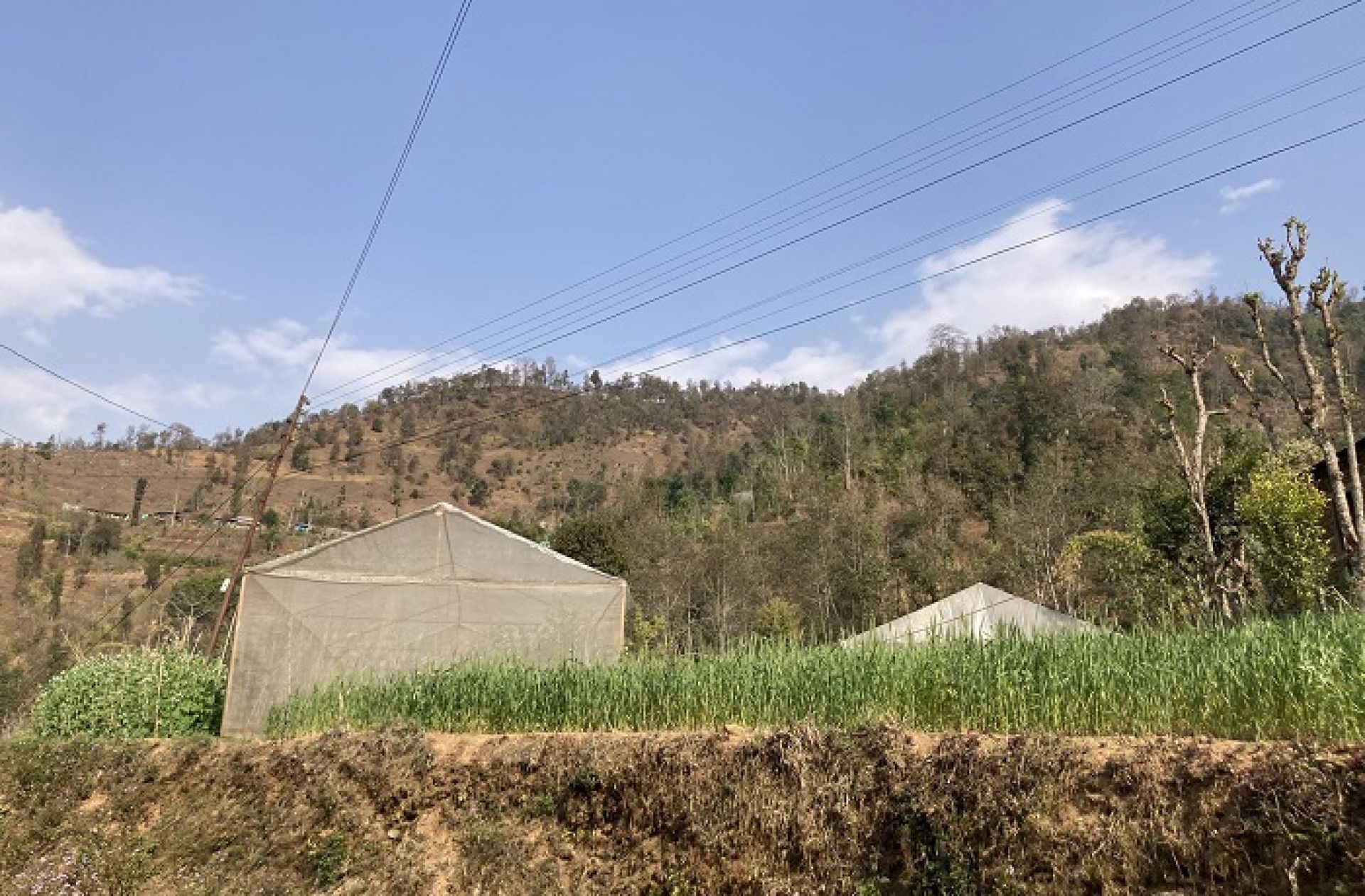 सहकारीमार्फत कृषिमय गाउँ बन्यो सर्कुवा