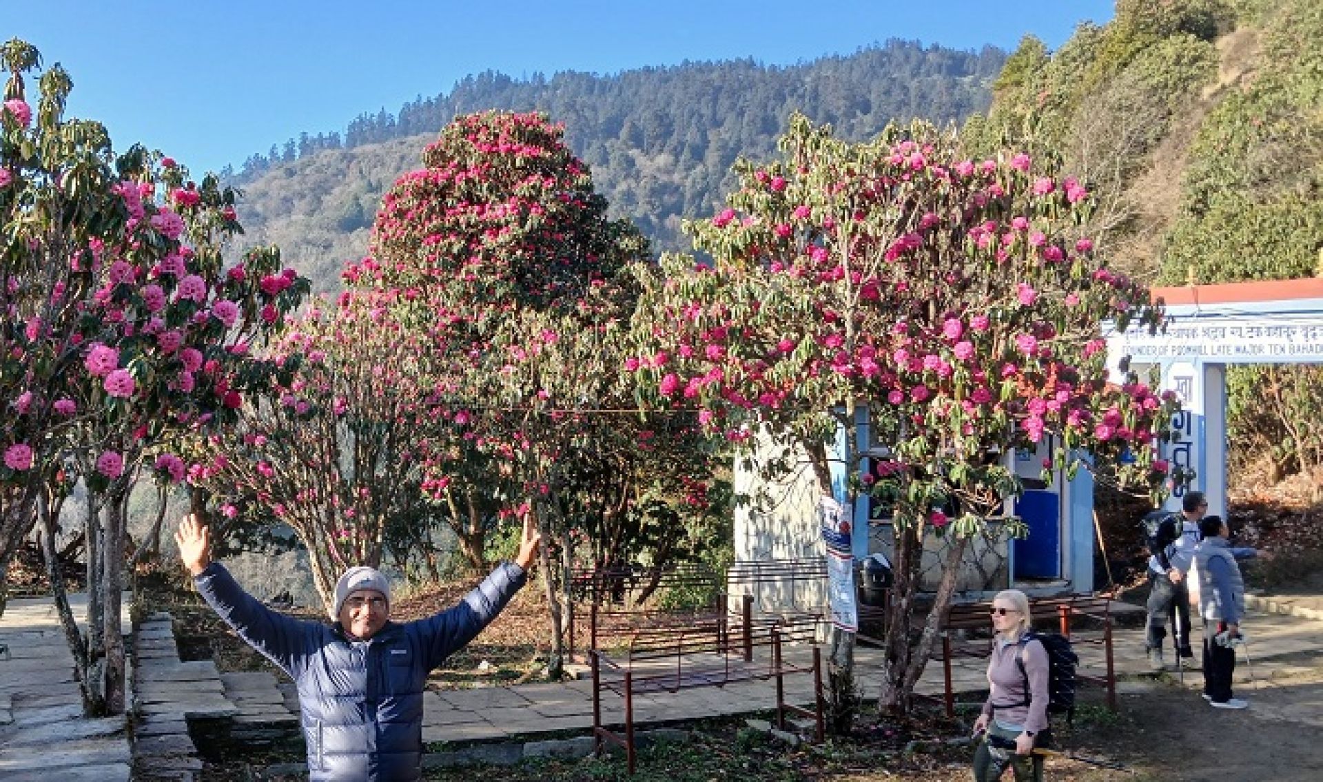 म्याग्दीका बनपाखामा लालीगुराँस हेर्नेको भीड