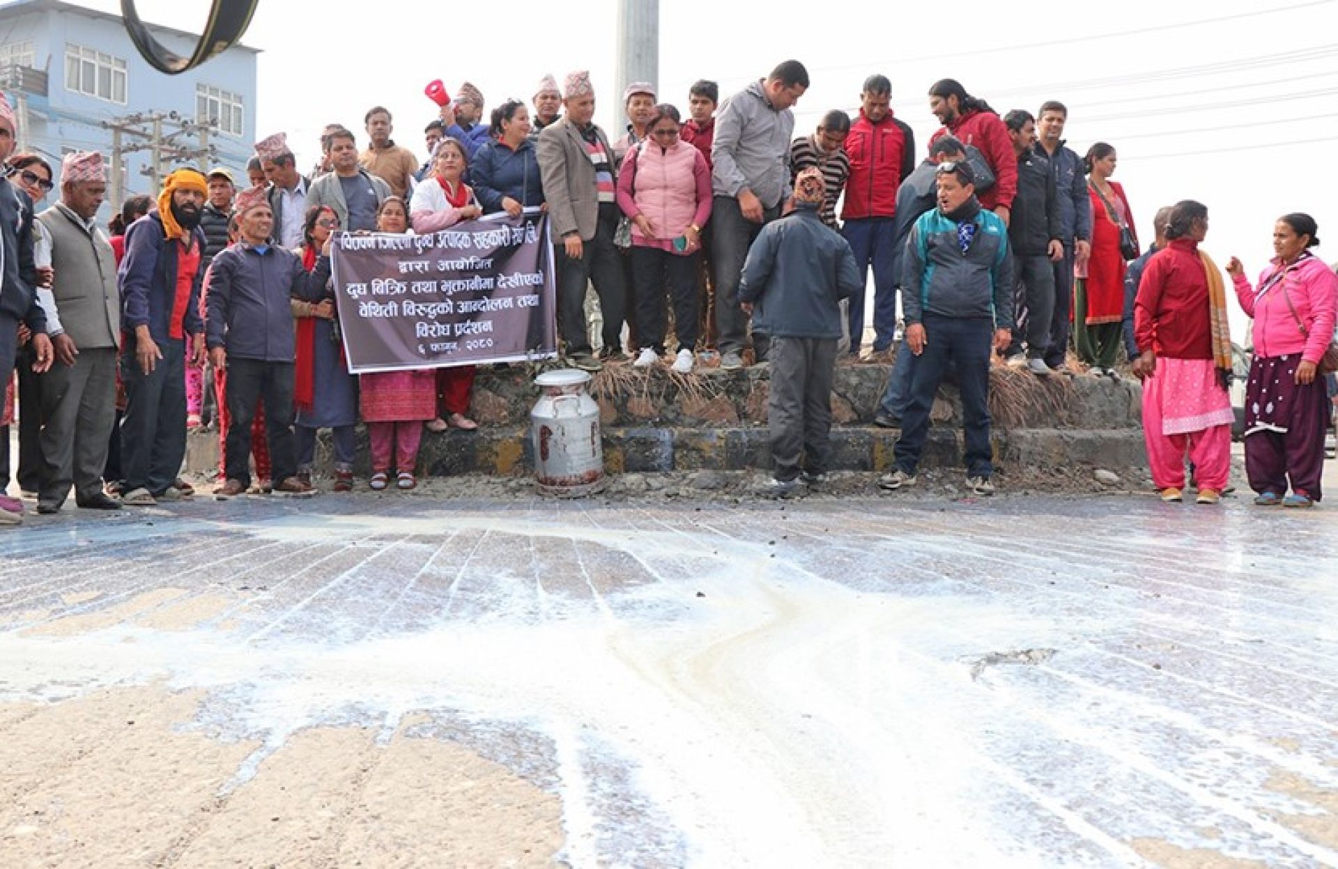 भुक्तानी नपाएपछि सहकारीले सडकमै दूध पोखे