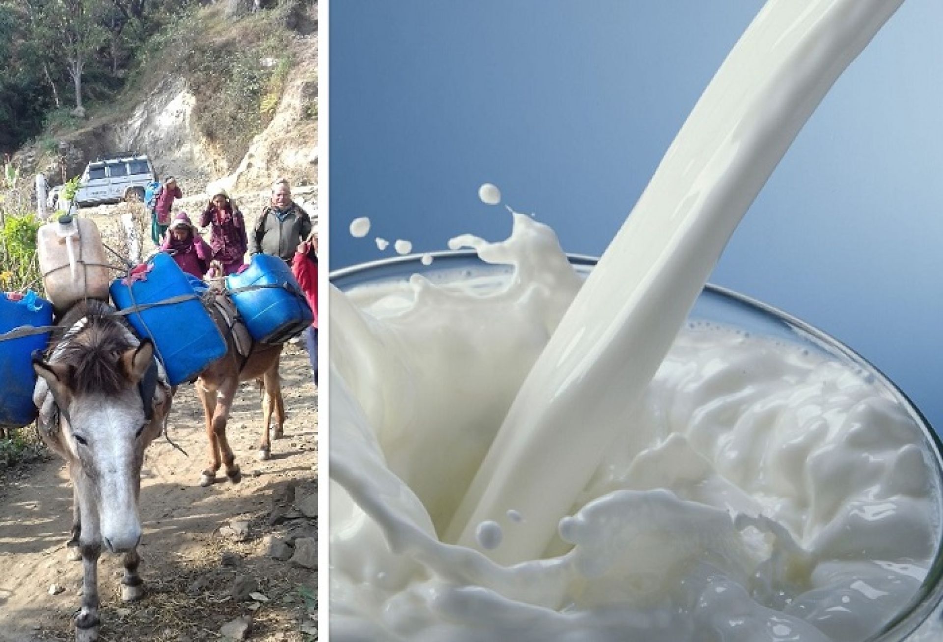 दूधमा आत्मनिर्भर बन्यो काभ्रे