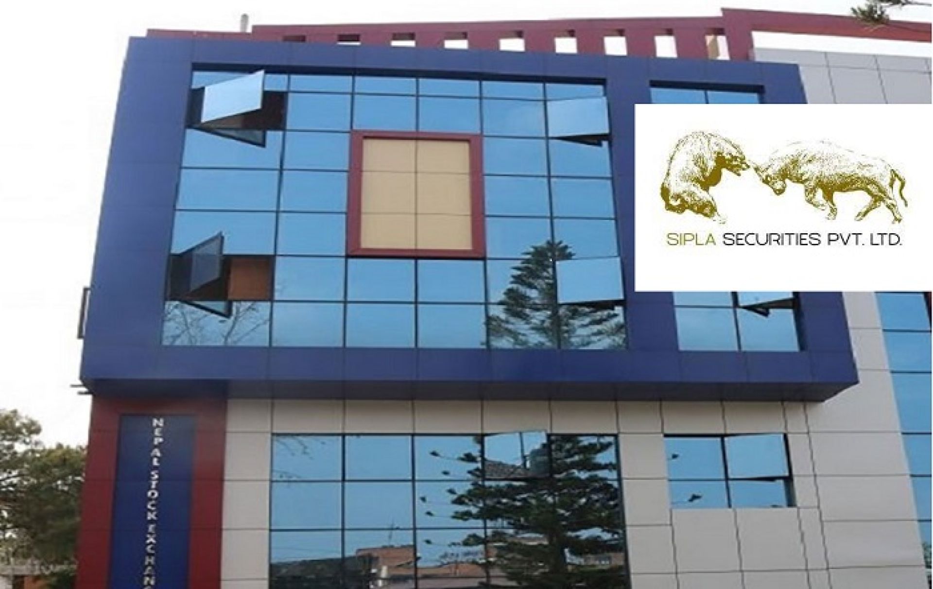आजदेखि शेयर बजार नियमित रुपमा सञ्चालनमा आउँदै