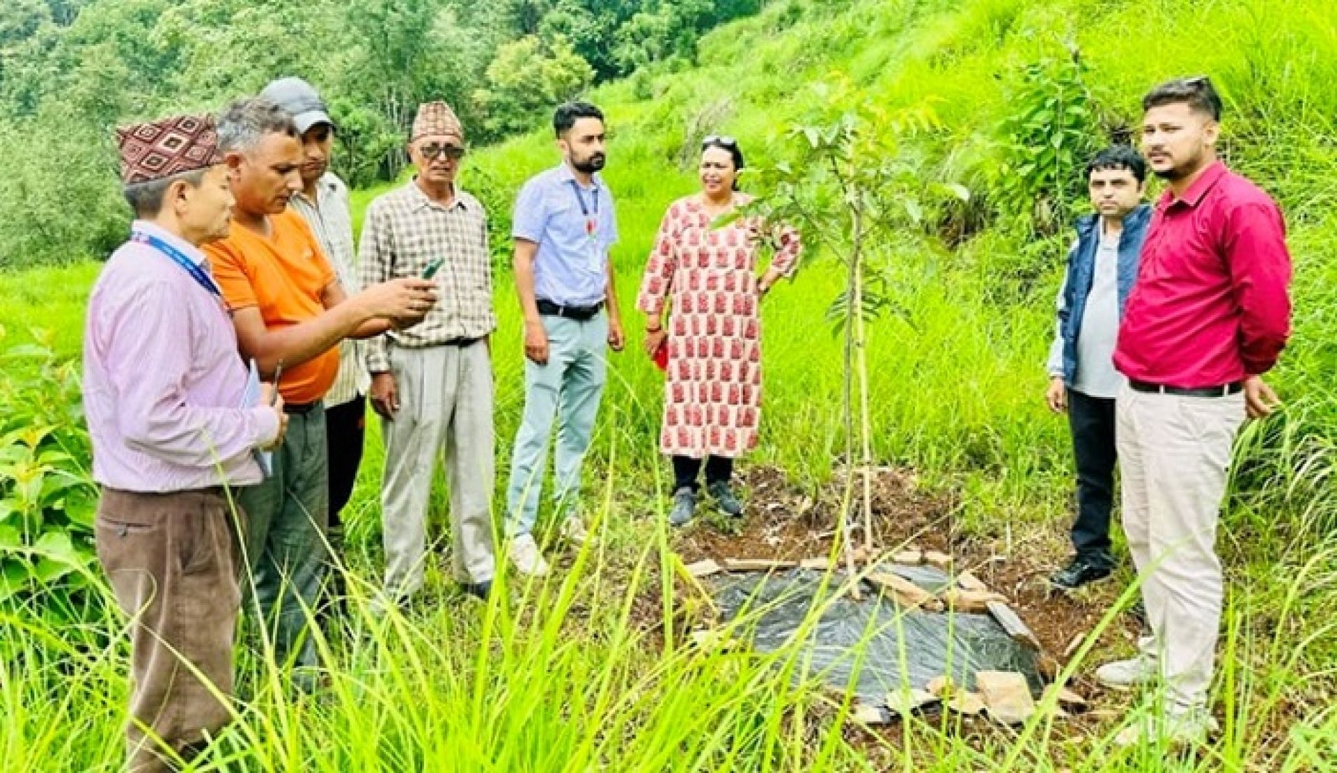 बाँदरबाट हैरान पर्वतका किसान व्यावसायिक ओखरखेतीमा
