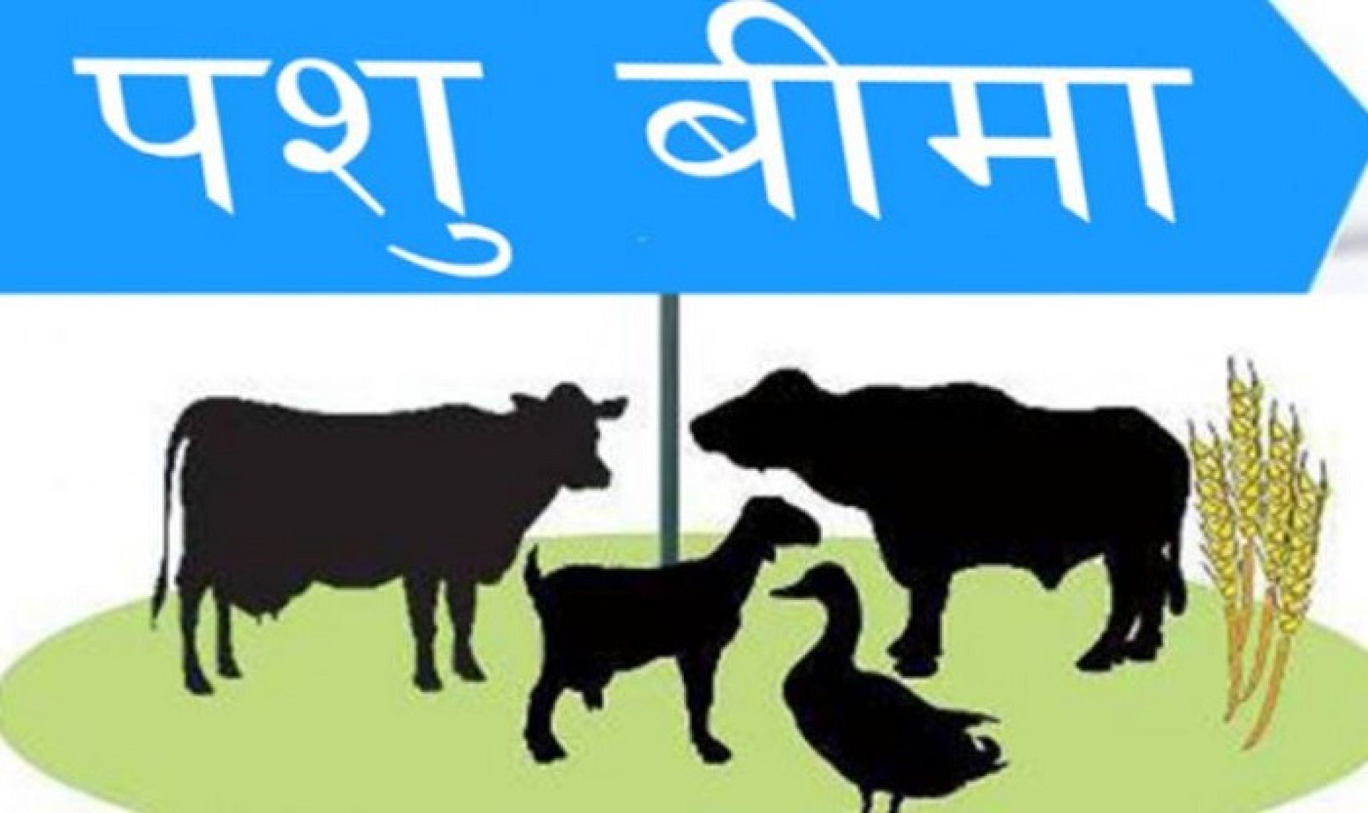 तनहुँमा १३ करोड १८ लाखको पशु बीमा, कृषकको आकर्षण बढ्दो 