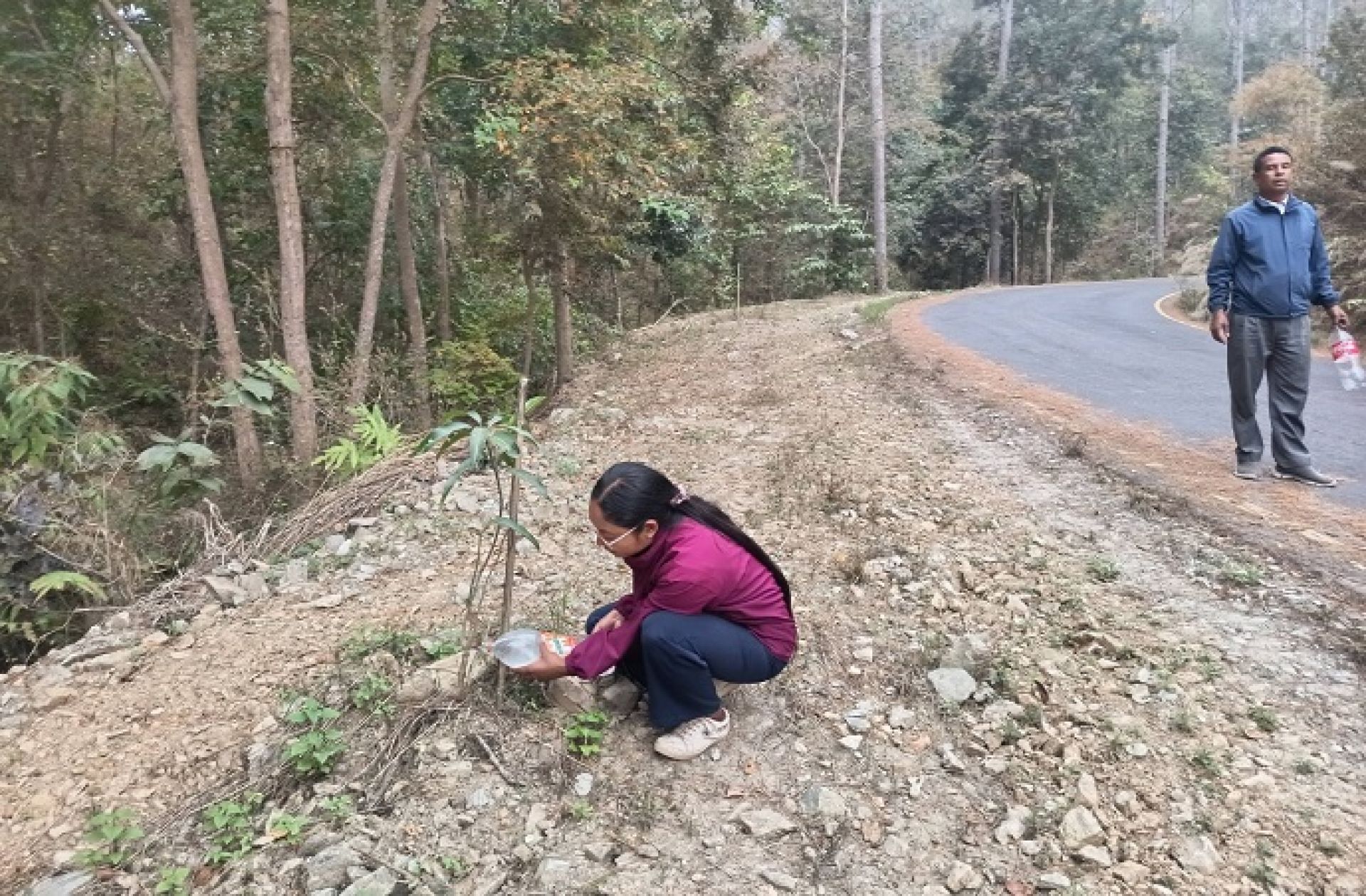 वडा र स्थानीयको प्रयासमा सडक किनार नै बन्यो बगैँचा