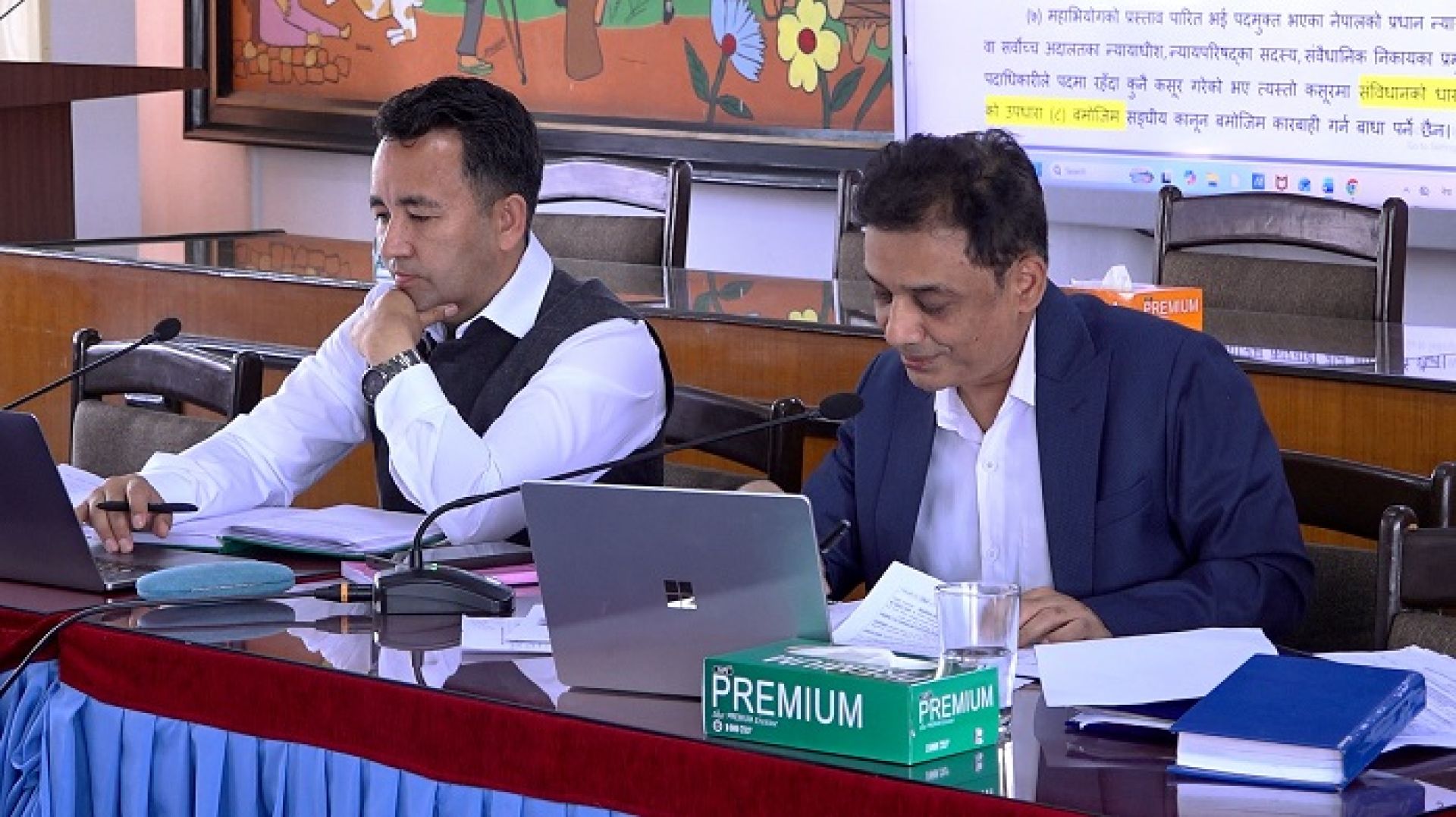 प्रतिनिधि सभा नियमावली मस्यौदा, कार्यपालिकाले ३० दिनभित्रै प्रगति विवरण बुझाउनुपर्ने