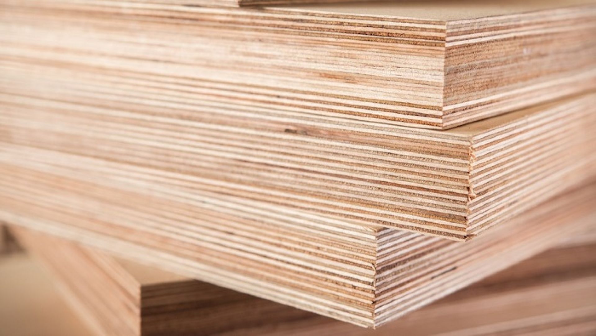 प्लाइउडमा नयाँ कानुन लगाउने म्याद थप्न भारत सकारात्मक, वर्षेनी दुई अर्बको निर्यात