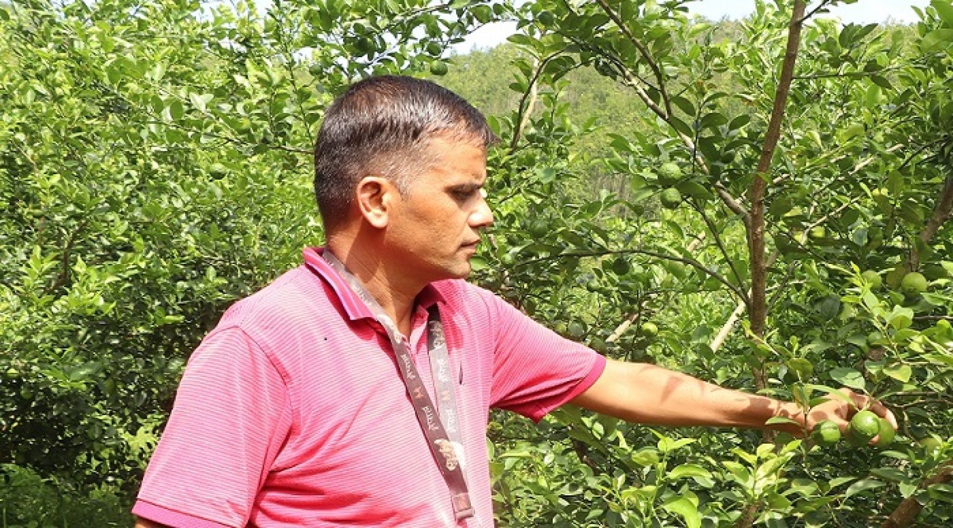 खाली जग्गा सदुपयोग गरी कागती खेती, वर्षमा लाखौंको आम्दानी 