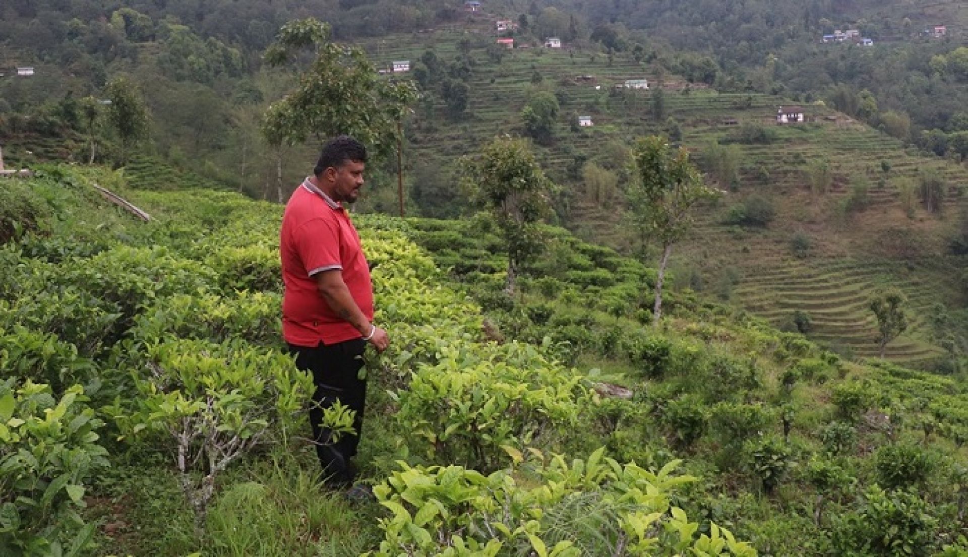 व्यावसायिक चियाखेतीसँगै पर्यटन प्रवर्द्धनमा भोजपुरका रञ्जित