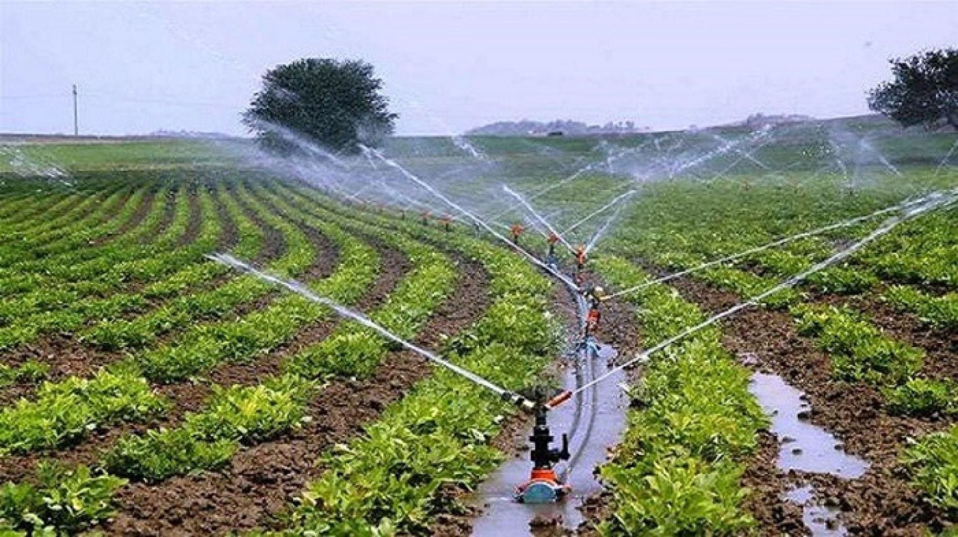 पाँचखालका चार हजारबढी कृषक आइपीएम प्रविधिबाट खेती गर्दै