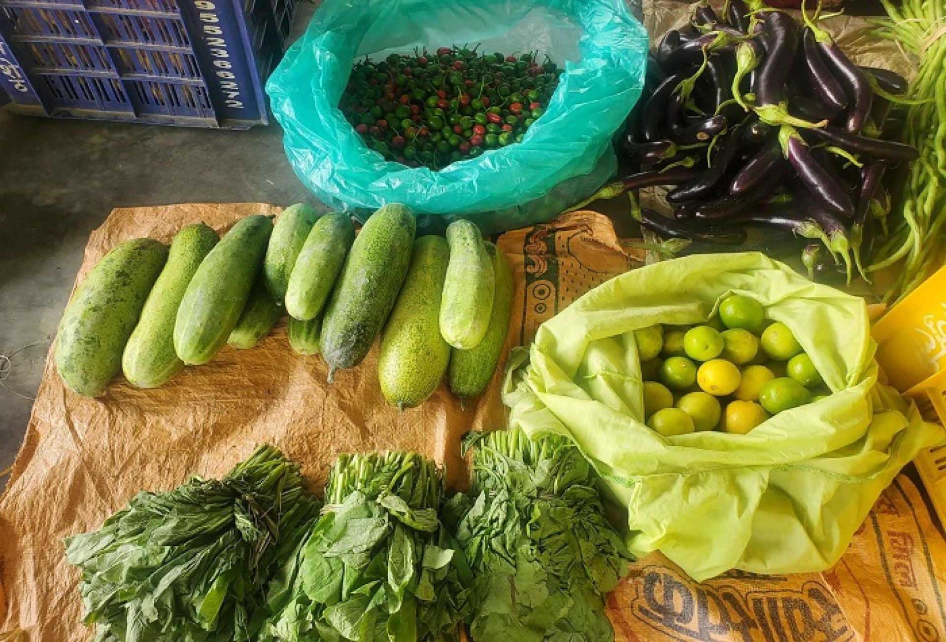 कृषिउपज बजारीकरणमा प्रभावकारी बन्दै हाटबजार