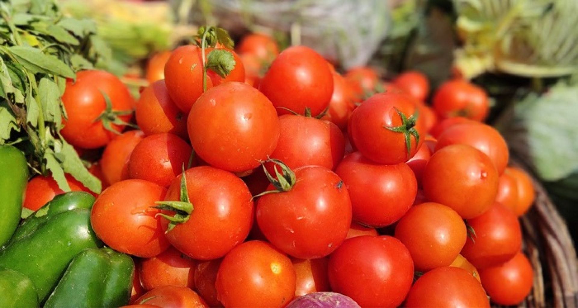 गोलभेडाको मूल्य ६३ प्रतिशतले घट्दा आलुको मूल्यमा उच्च वृद्धि 